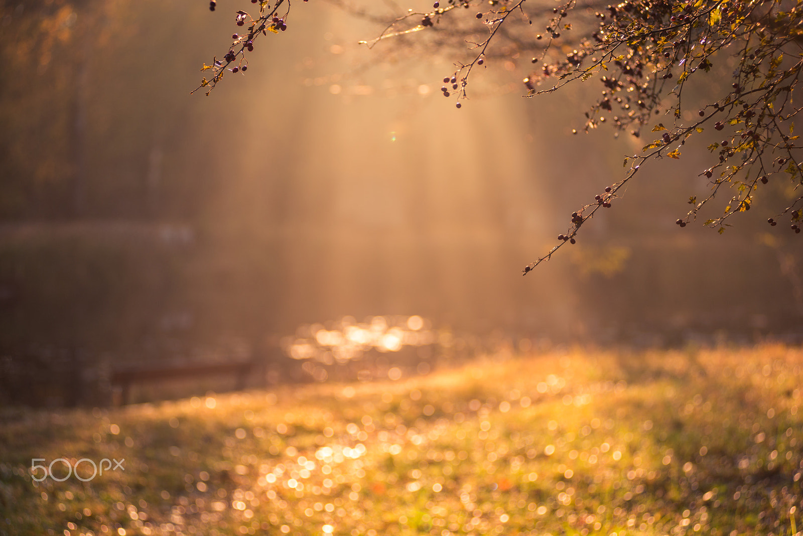 AF Zoom-Nikkor 80-200mm f/2.8 ED sample photo. Dawn at sződliget, hungary photography