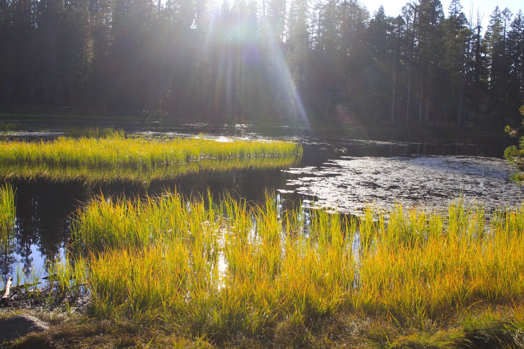 Canon EF-S 18-55mm F3.5-5.6 II sample photo. Peaceful river photography