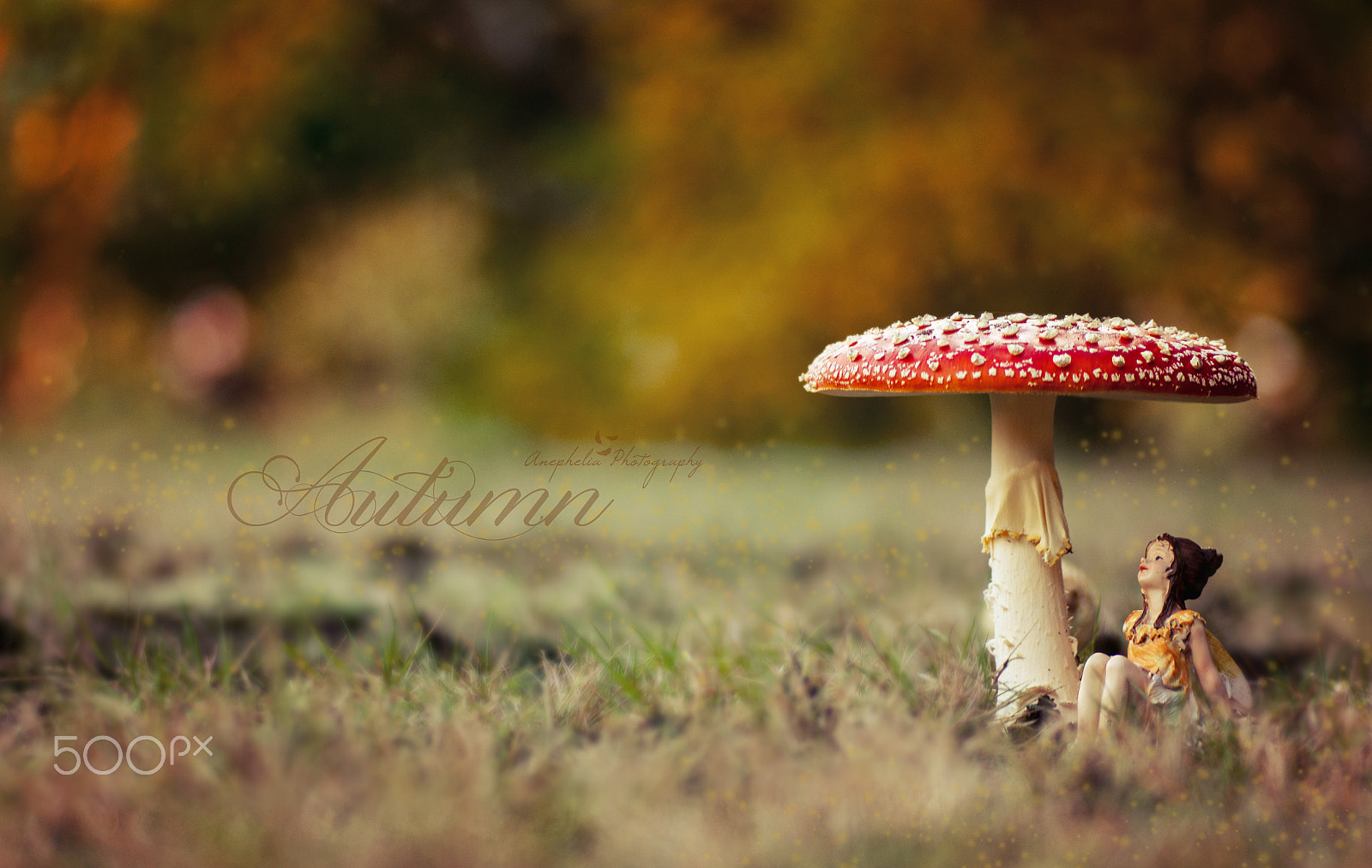 Sony SLT-A55 (SLT-A55V) + Minolta AF 100mm F2.8 Macro [New] sample photo. Autumn-fairy photography