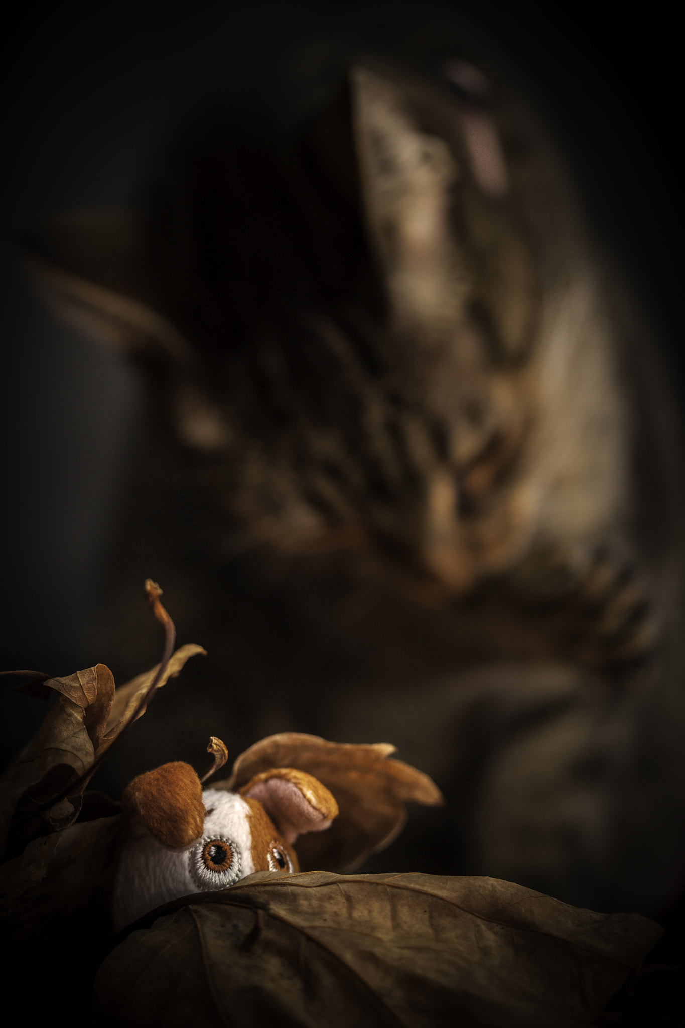 Canon EF-S 60mm F2.8 Macro USM sample photo. Hide for survive photography