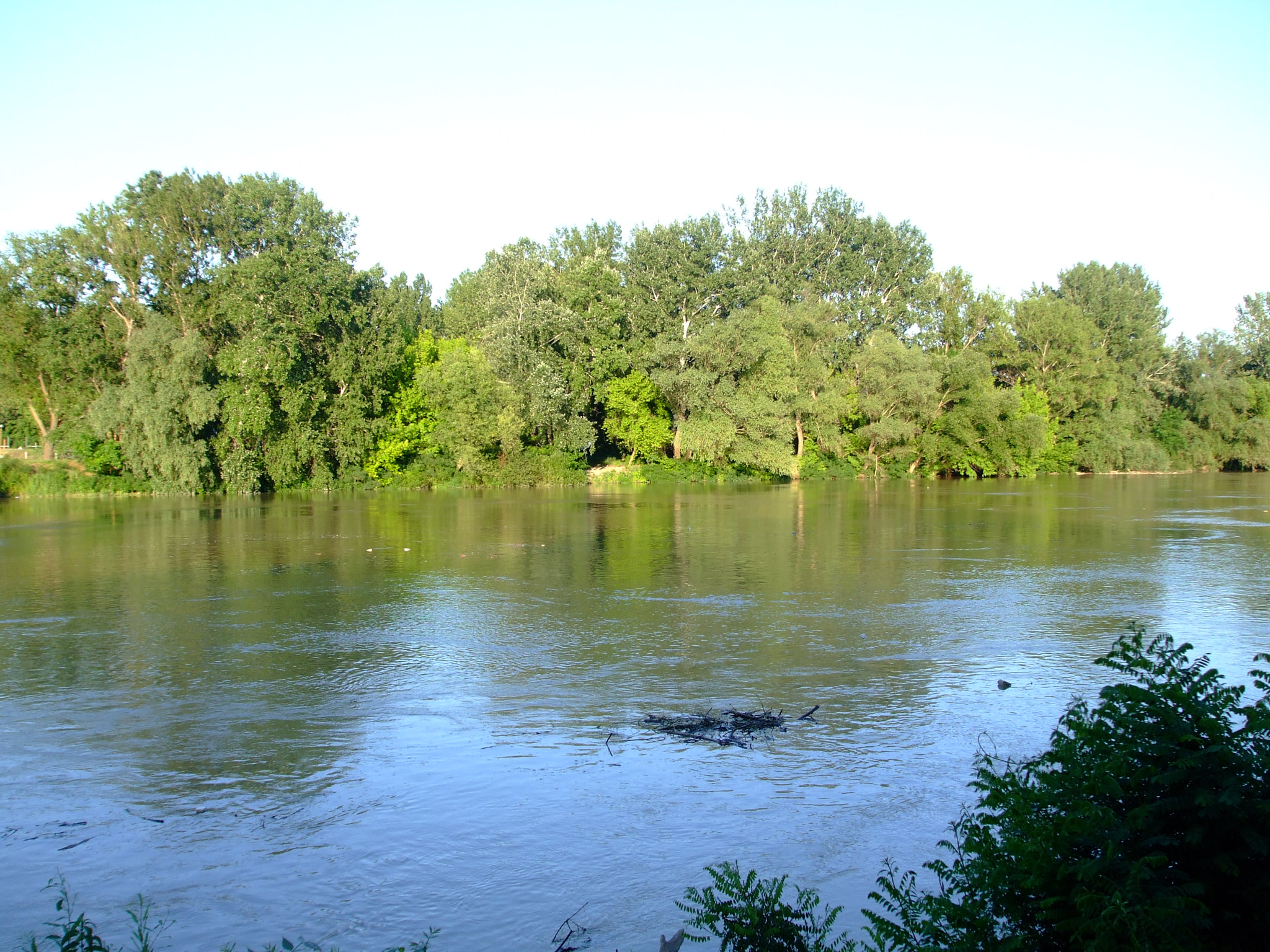 Fujifilm FinePix A820 sample photo. Tokaj, tisza river photography