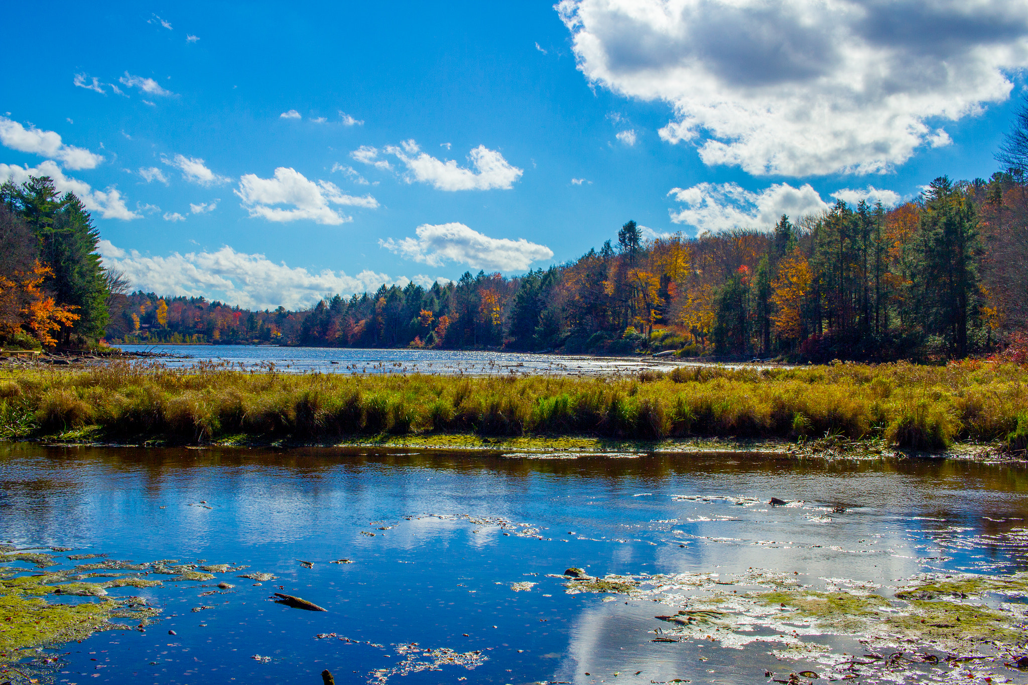 Canon EF-S 24mm F2.8 STM sample photo. Fall reflections on mountain lake photography