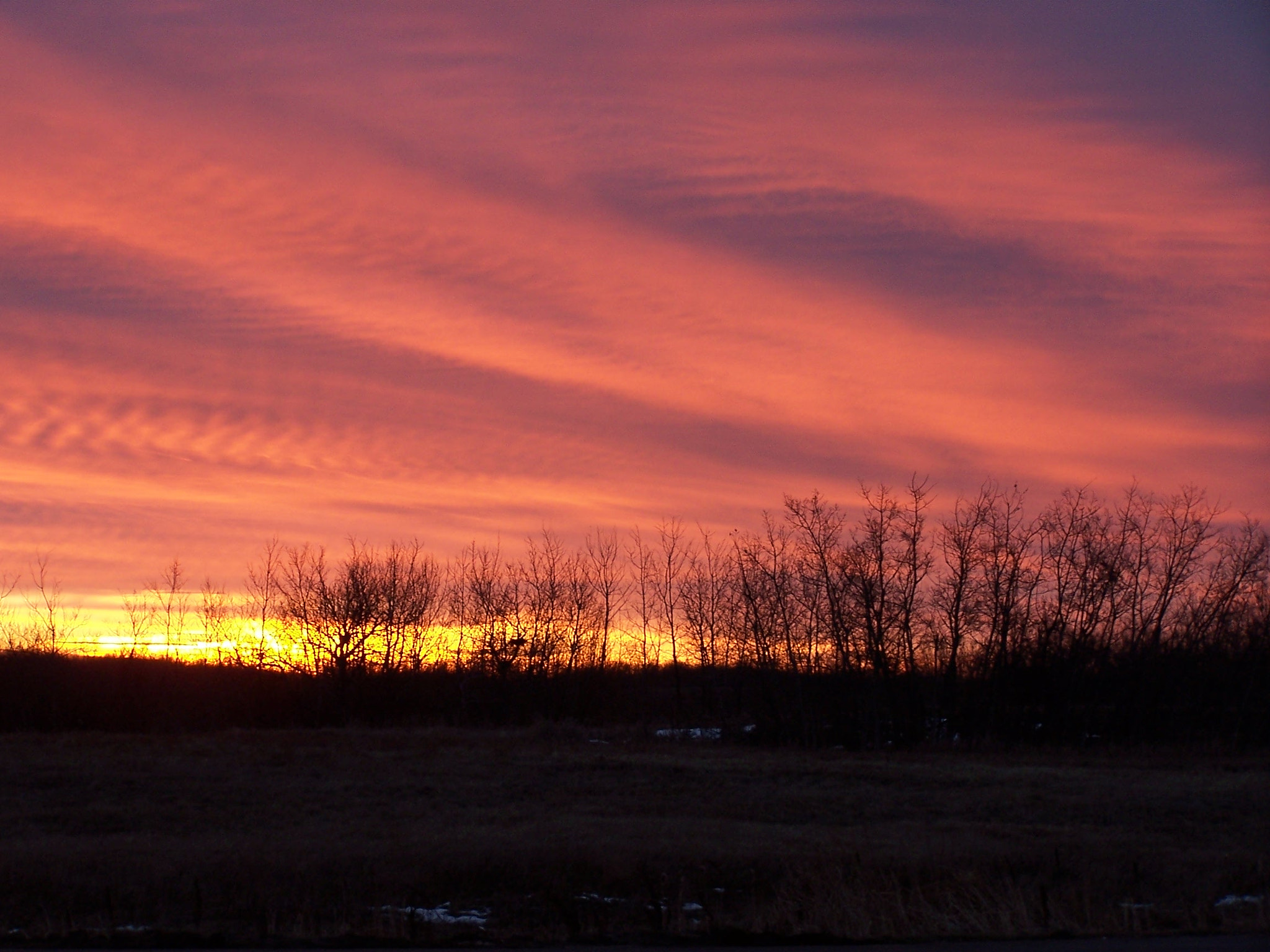 Kodak DX6490 ZOOM DIGITAL CAMERA sample photo. Just before sunrise in the prairies photography