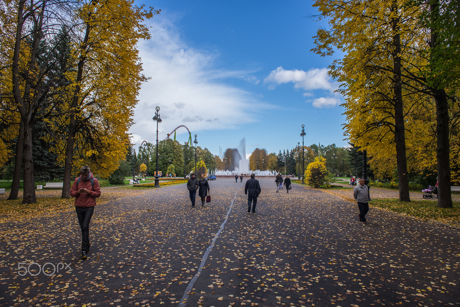 Nikon D610 + Nikon AF Nikkor 24mm F2.8D sample photo. Autumn photography