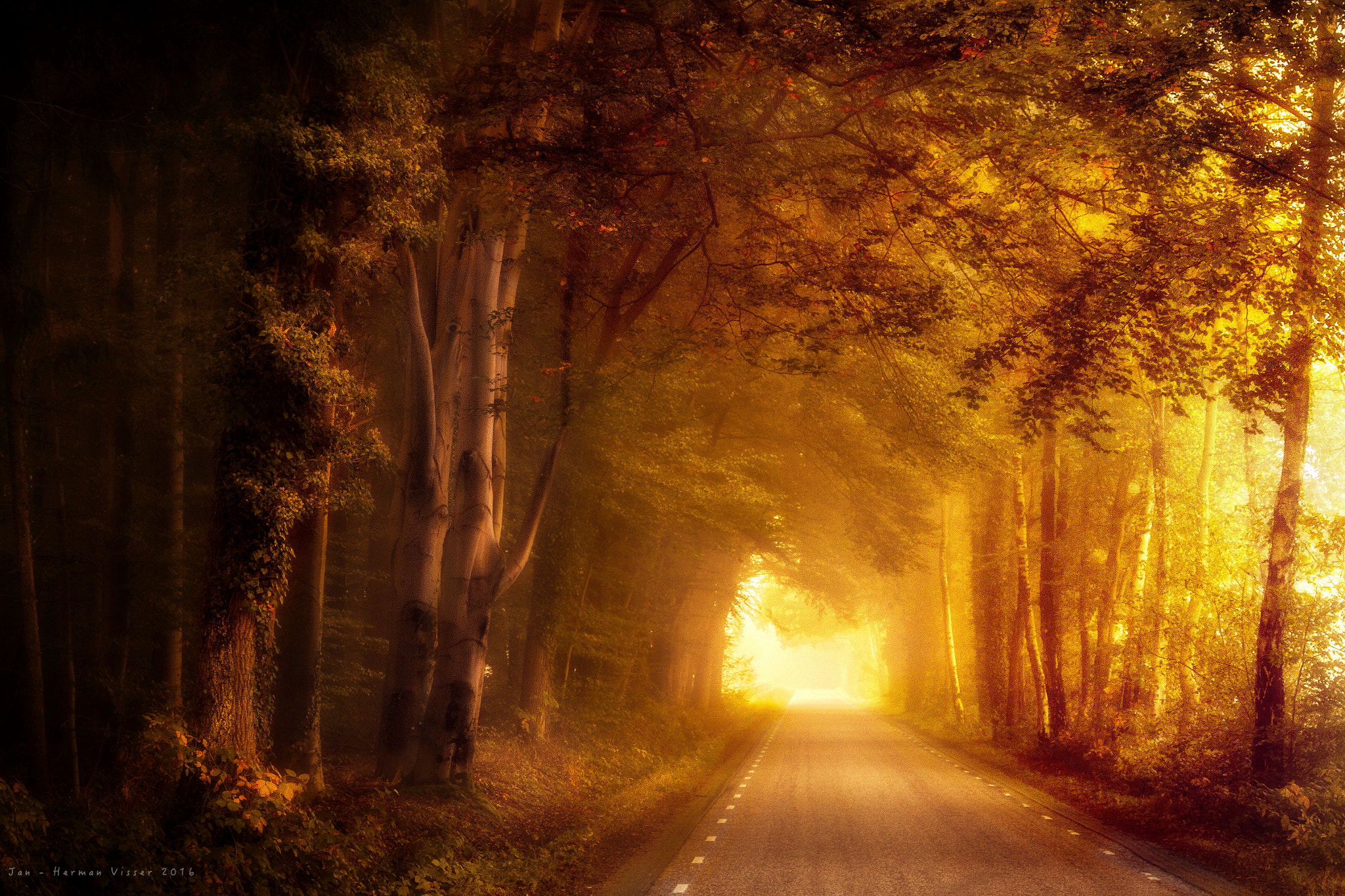 Canon EF 50-200mm f/3.5-4.5 sample photo. Golden road ... photography
