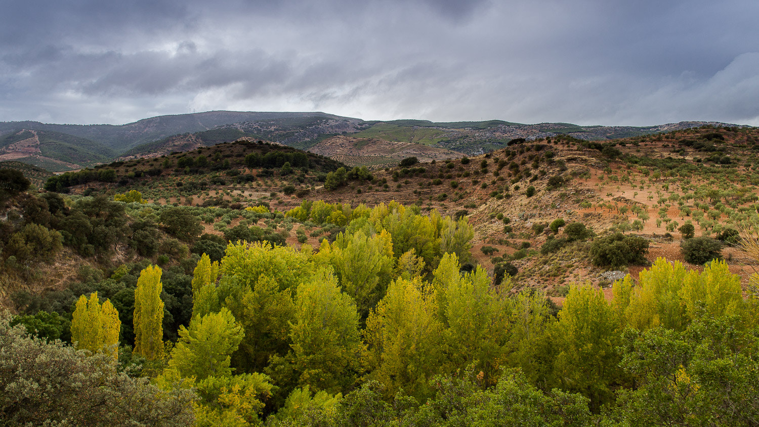 Canon EF 24mm F2.8 IS USM sample photo. Casi otoño en el turón. photography