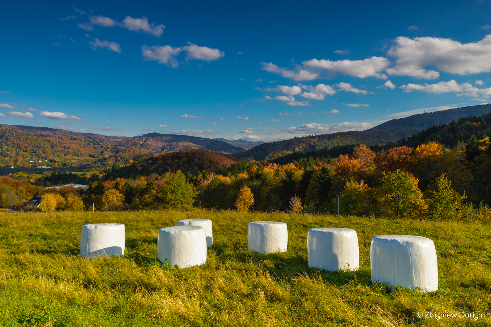 Nikon D700 + Sigma 24mm F1.8 EX DG Aspherical Macro sample photo. Polish landscape photography