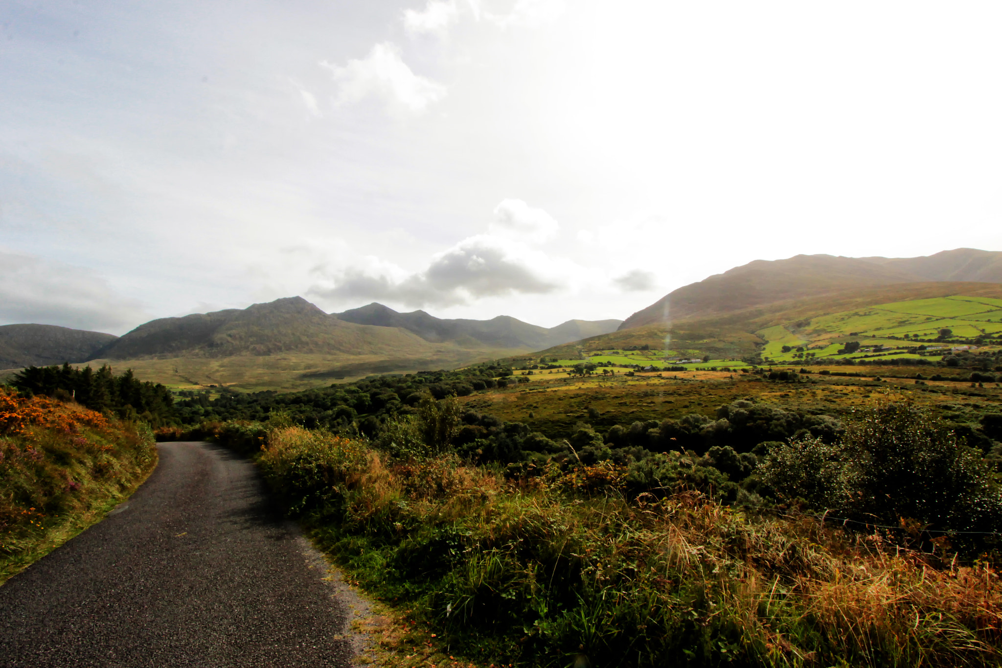 Canon EF-S 10-22mm F3.5-4.5 USM sample photo. Lost in some beautiful place in killarney photography