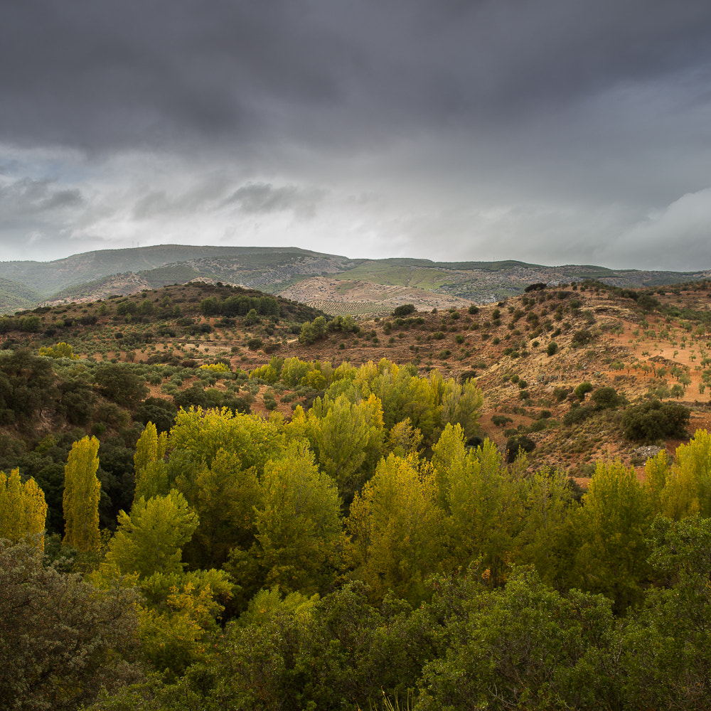 Canon EF 24mm F2.8 IS USM sample photo. Otoño 2 photography