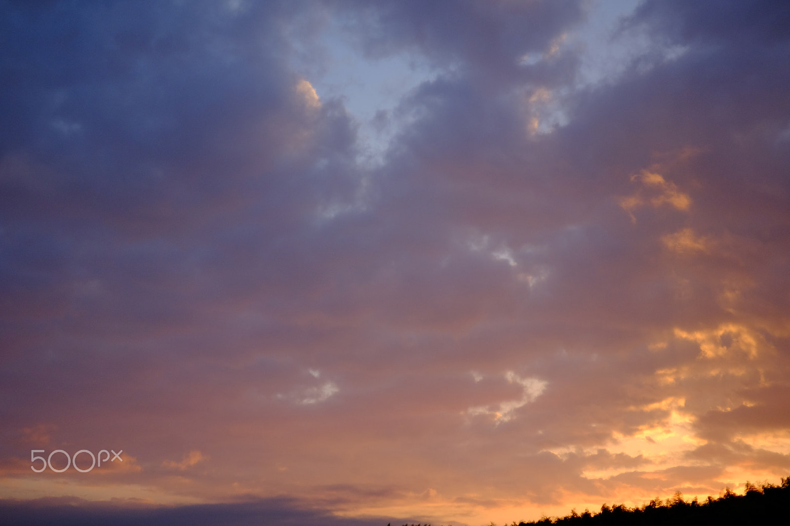 ZEISS Touit 32mm F1.8 sample photo. Today photography