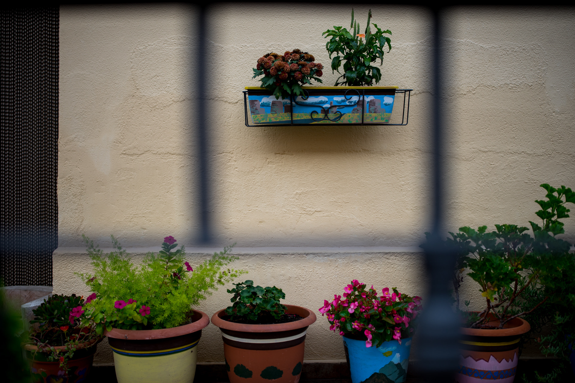 Canon EF 35mm F1.4L II USM sample photo