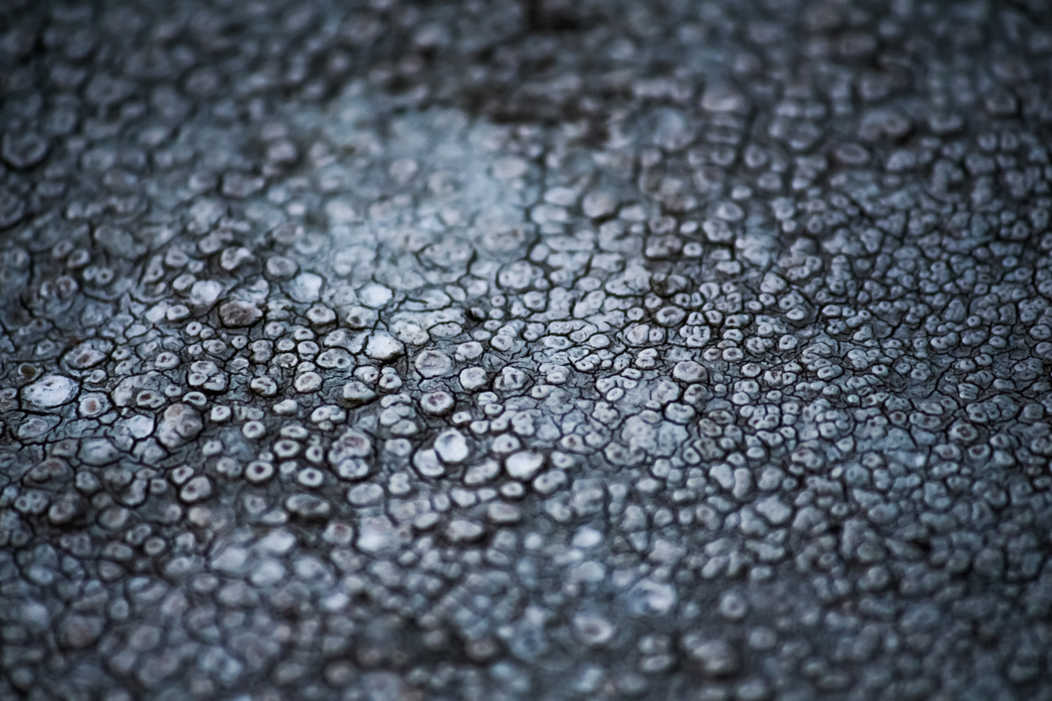 Canon EF-S 55-250mm F4-5.6 IS sample photo. Cobblestone photography