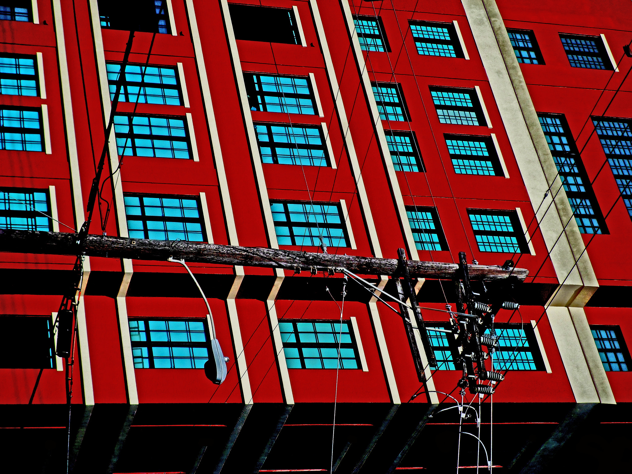 Samsung PL120,PL121 / VLUU PL120,PL121 sample photo. Red at ease photography