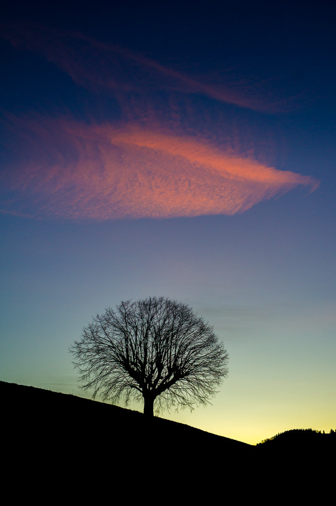 Nikon D3S + Nikon AF-S Nikkor 35mm F1.4G sample photo. Silhouette in the early morning photography
