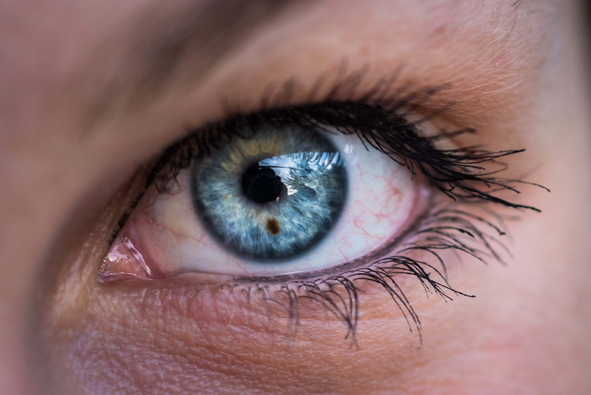 Nikon AF Micro-Nikkor 60mm F2.8D sample photo. Blue eye photography