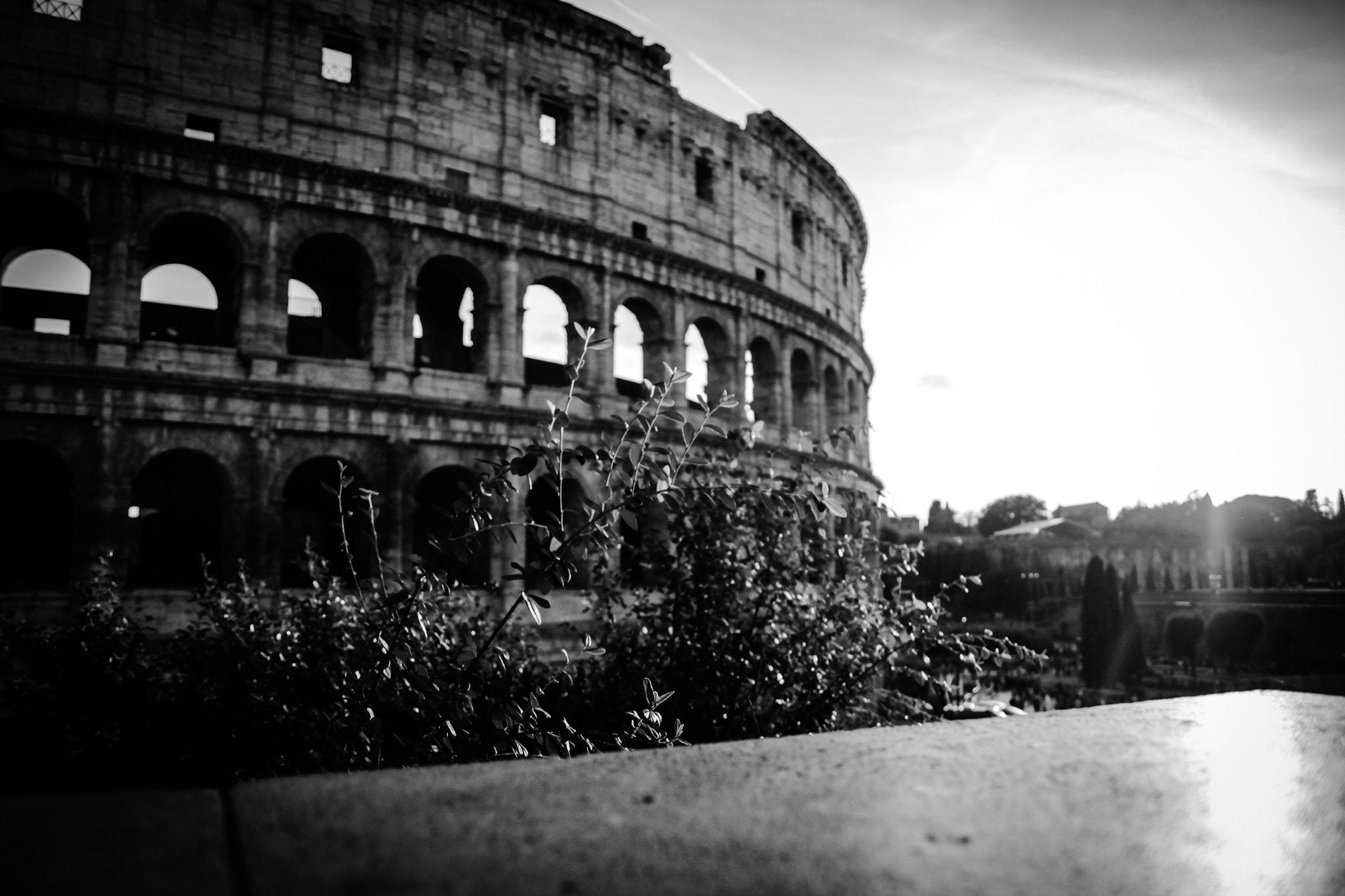 Tamron SP AF 17-50mm F2.8 XR Di II LD Aspherical (IF) sample photo. Colosseo photography