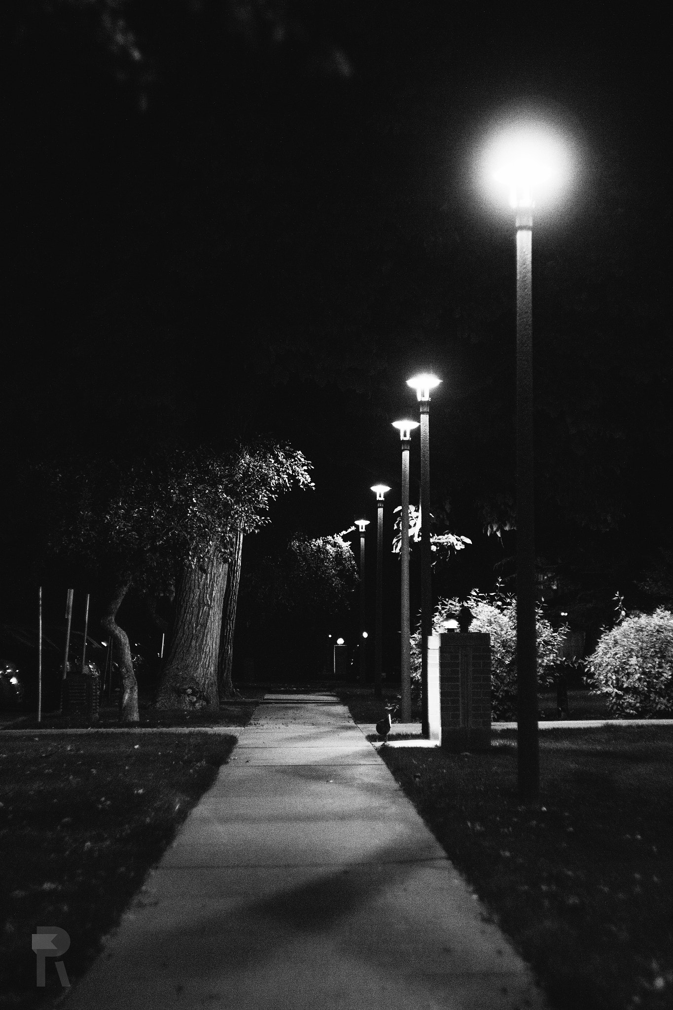 Canon EF 35-80mm f/4-5.6 sample photo. Walk in the dark photography