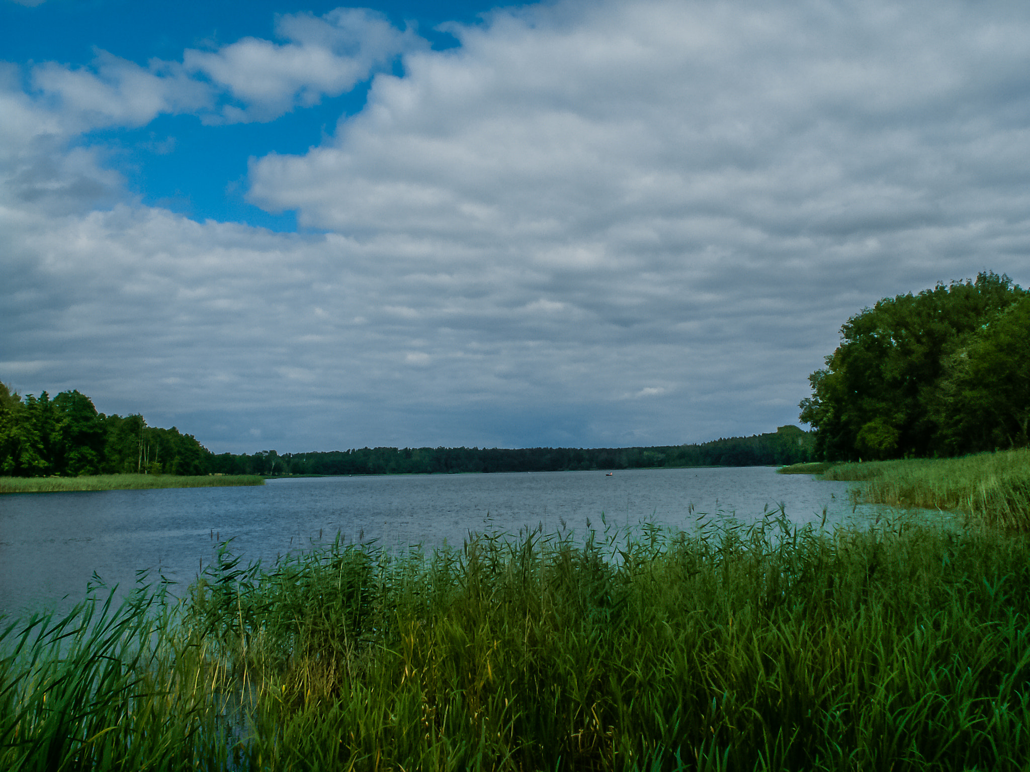 KONICA MINOLTA DiMAGE Z5 sample photo. Mazury photography