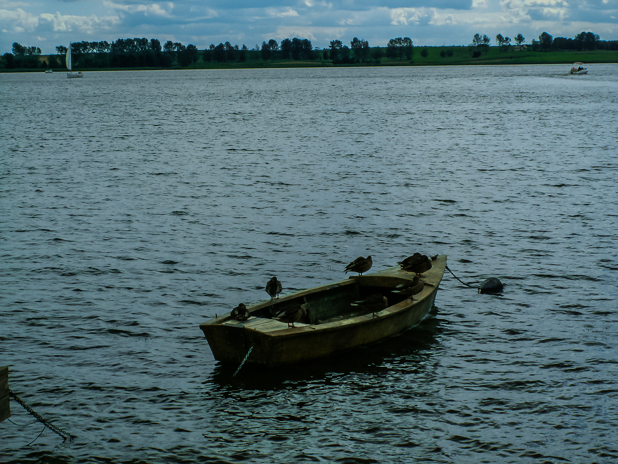 KONICA MINOLTA DiMAGE Z5 sample photo. Mazury photography