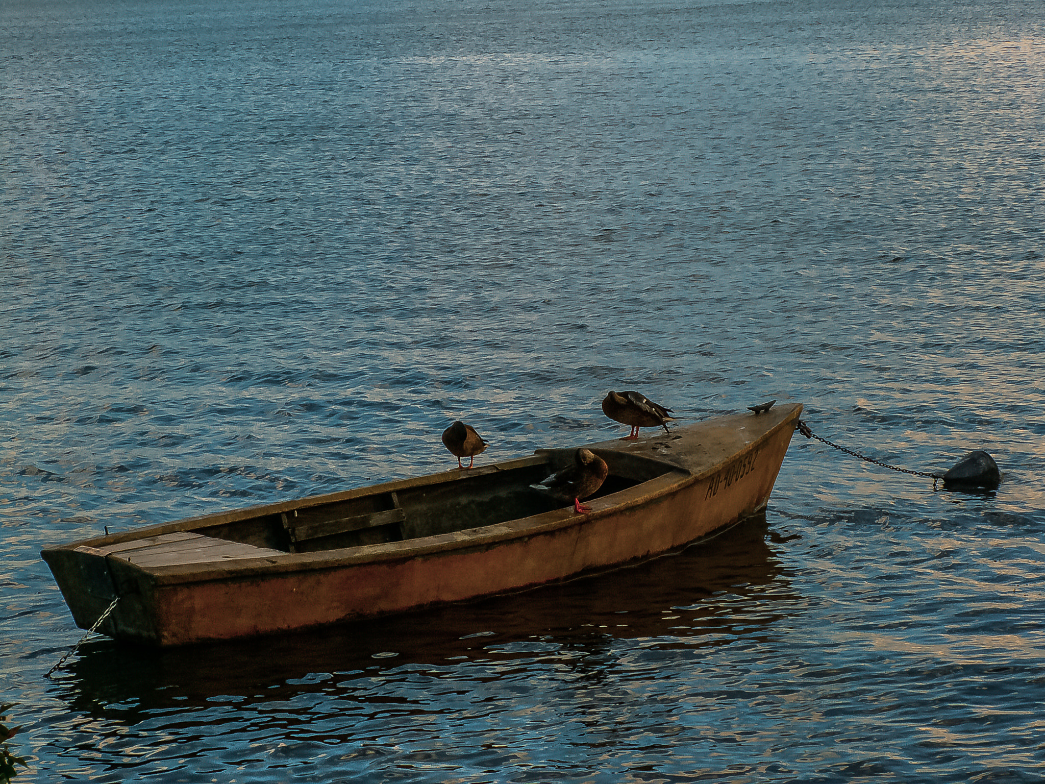 KONICA MINOLTA DiMAGE Z5 sample photo. Mazury photography