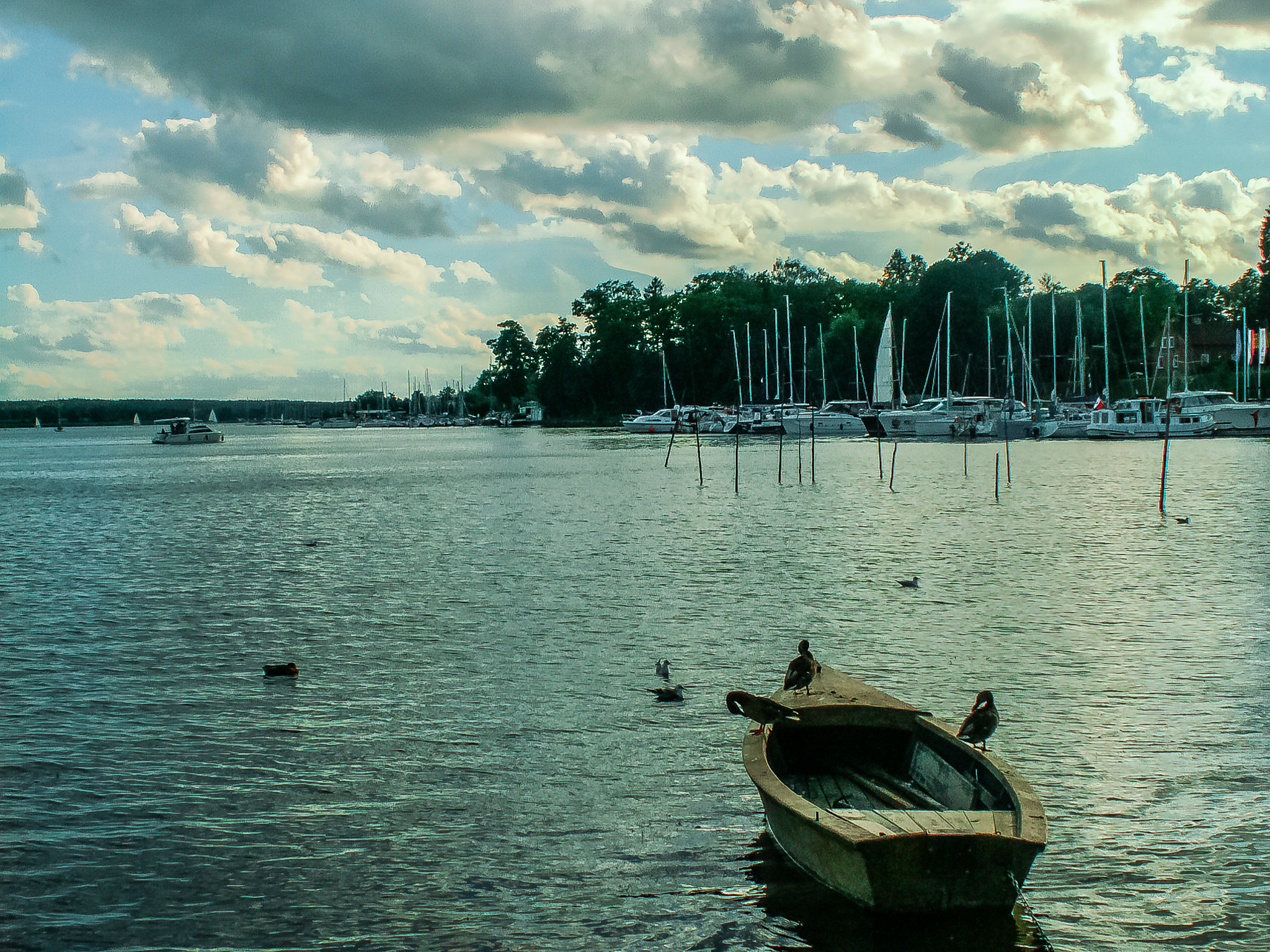 KONICA MINOLTA DiMAGE Z5 sample photo. Mazury photography