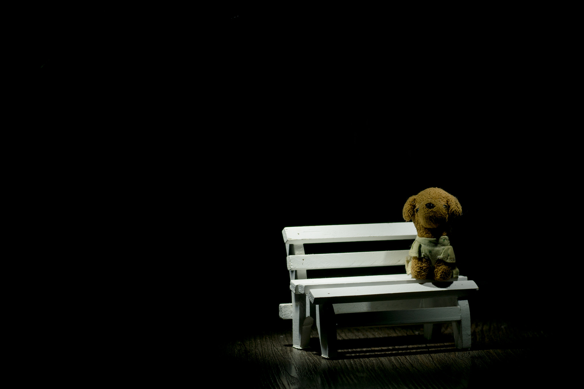 Sony 100mm F2.8 Macro sample photo. Single dog photography