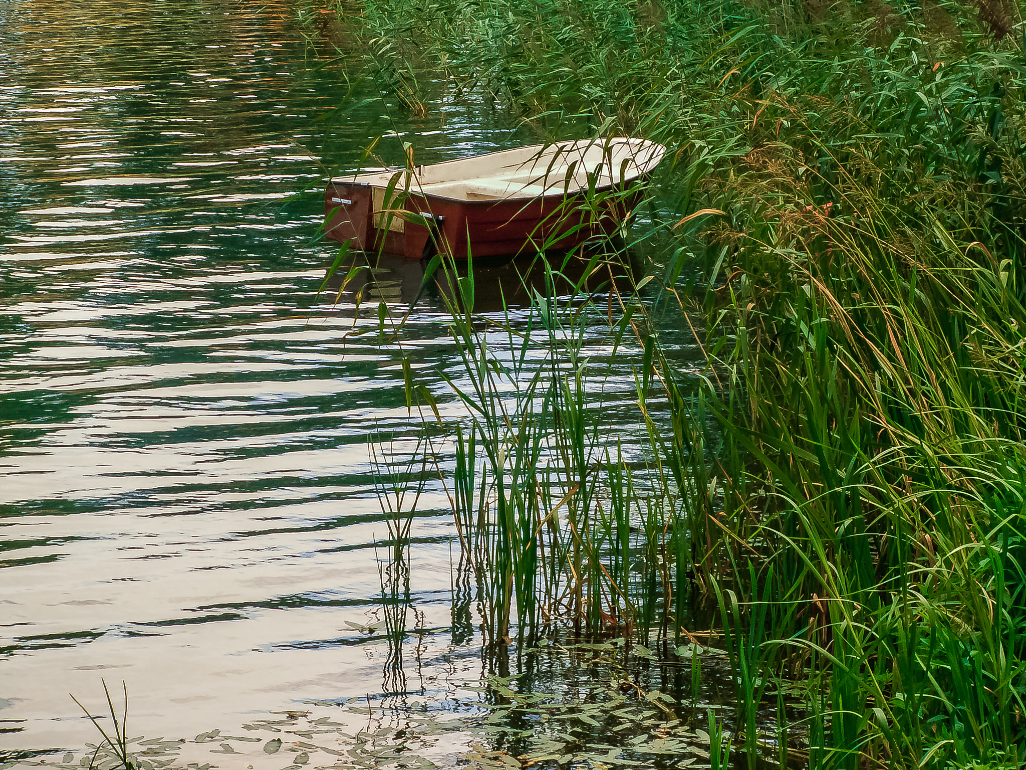 KONICA MINOLTA DiMAGE Z5 sample photo. Mazury photography