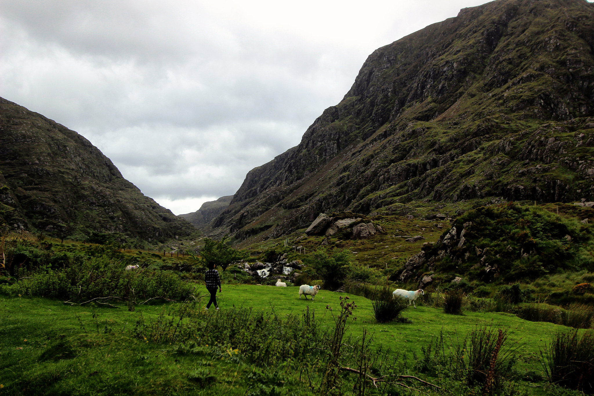 Canon EF-S 10-22mm F3.5-4.5 USM sample photo. Farmer in gap of dunloe  photography