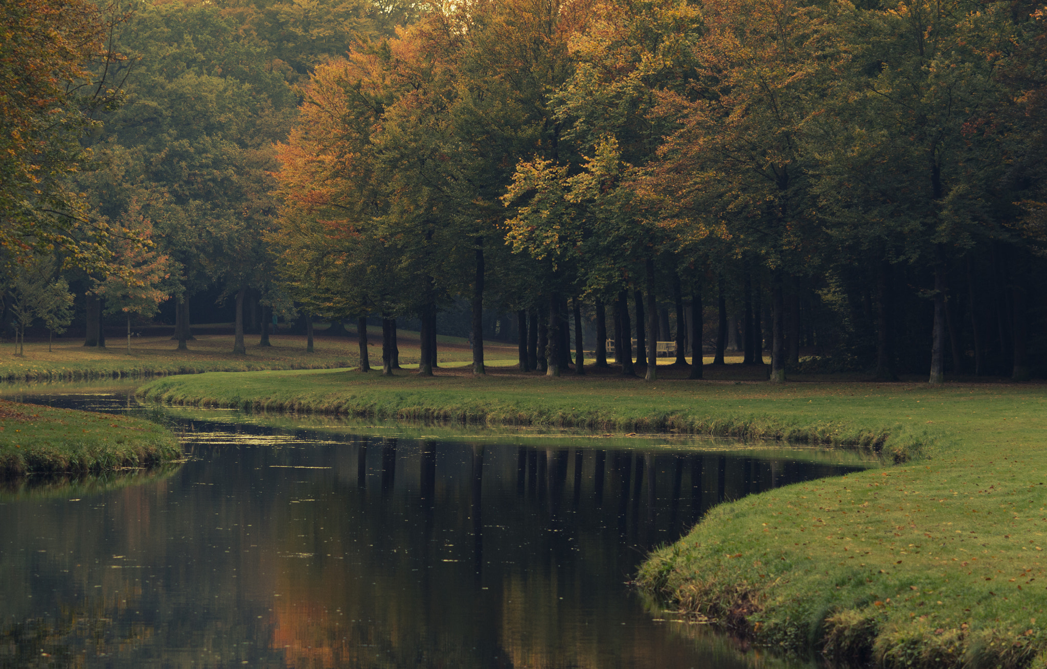 Nikon Df + AF DC-Nikkor 135mm f/2D sample photo. Autumn forest lake photography