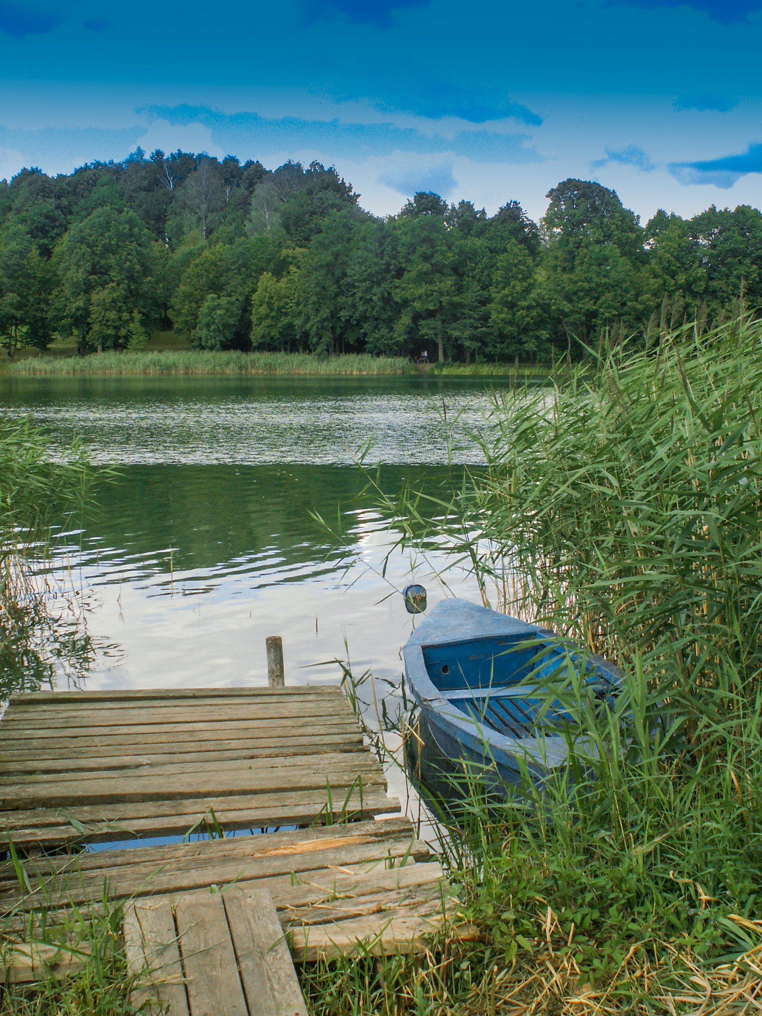 KONICA MINOLTA DiMAGE Z5 sample photo. Mazury photography