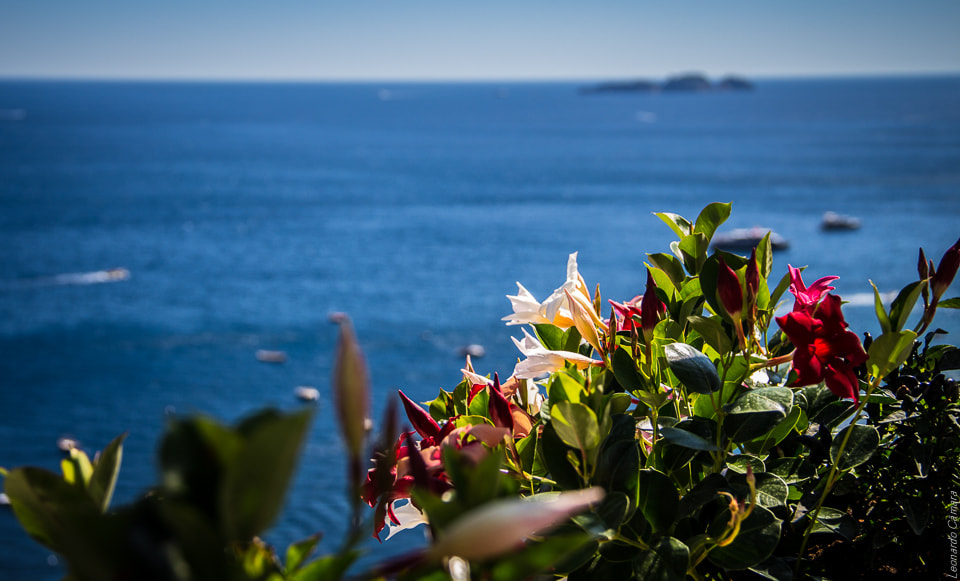 Canon EOS 700D (EOS Rebel T5i / EOS Kiss X7i) sample photo. Itali photography