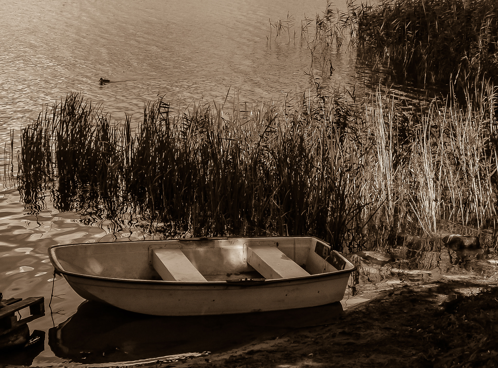 KONICA MINOLTA DiMAGE Z5 sample photo. Mazury photography