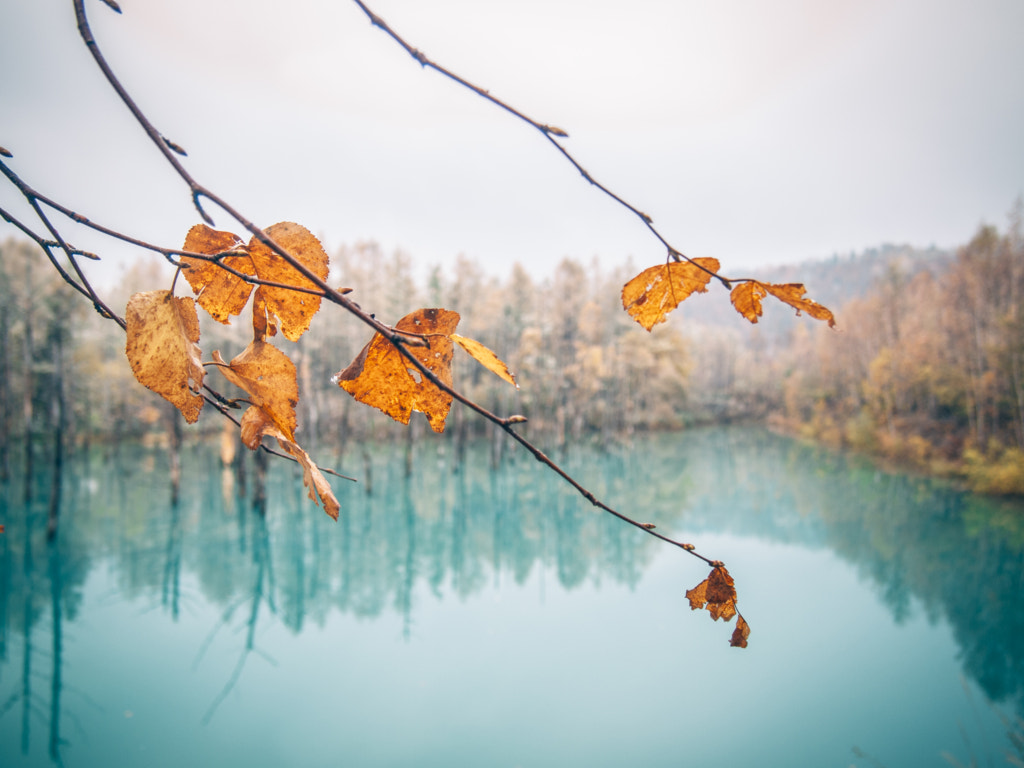 Olympus PEN E-P1 sample photo. Bluepond-biei photography
