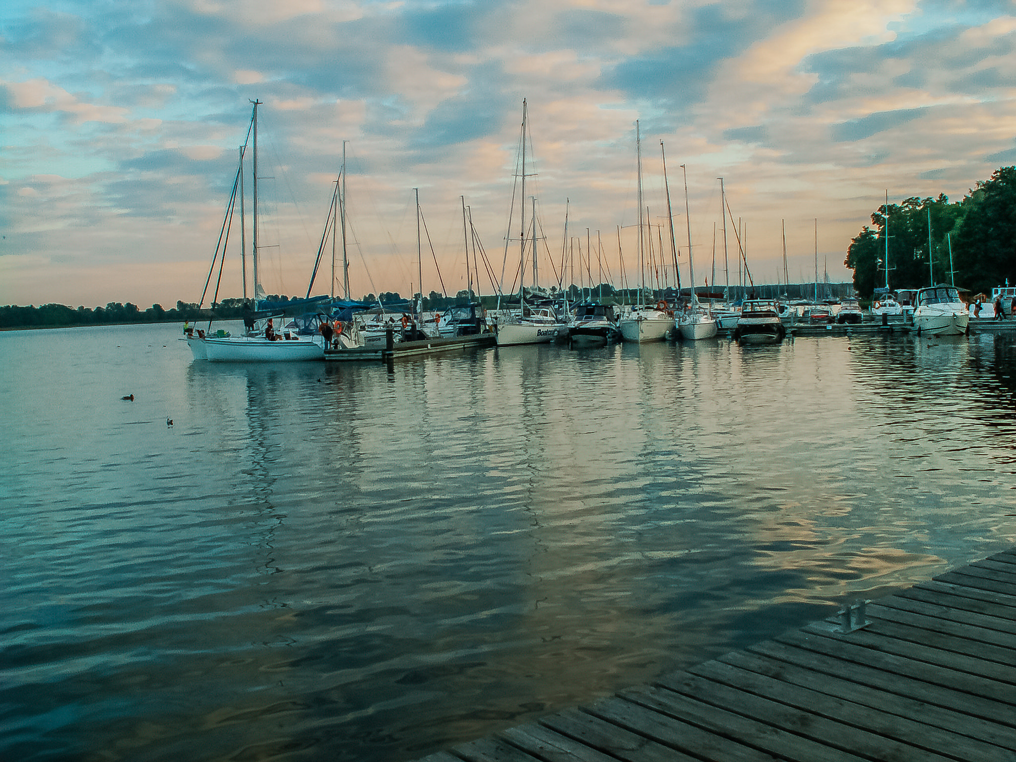 KONICA MINOLTA DiMAGE Z5 sample photo. Mazury photography