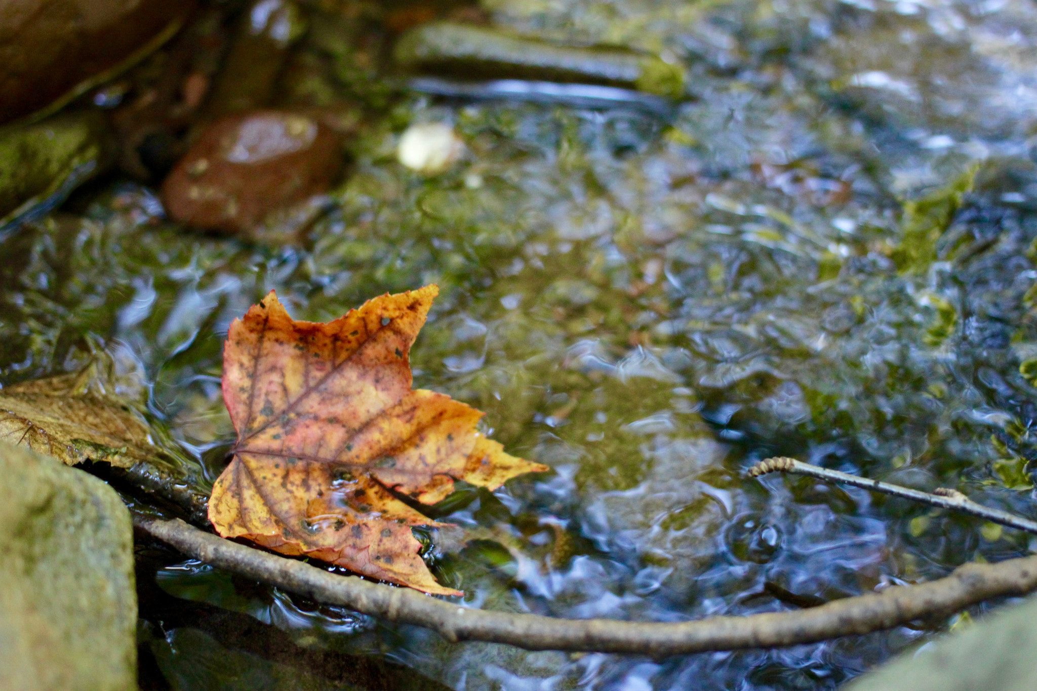 Canon EF 40mm F2.8 STM sample photo. Flow photography