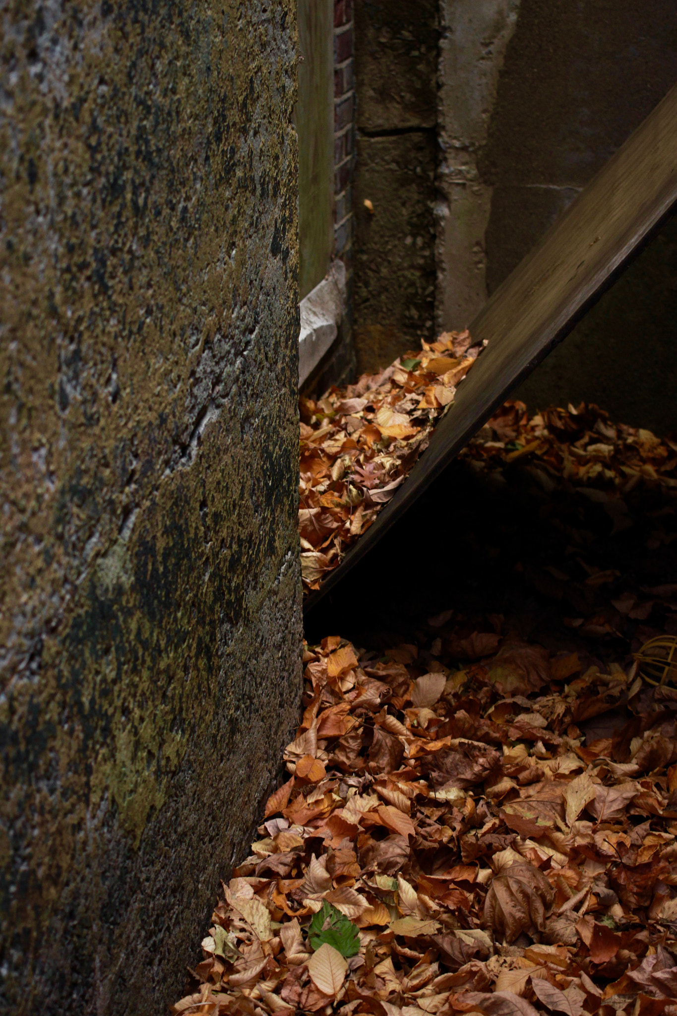 Canon EF 40mm F2.8 STM sample photo. Build up photography