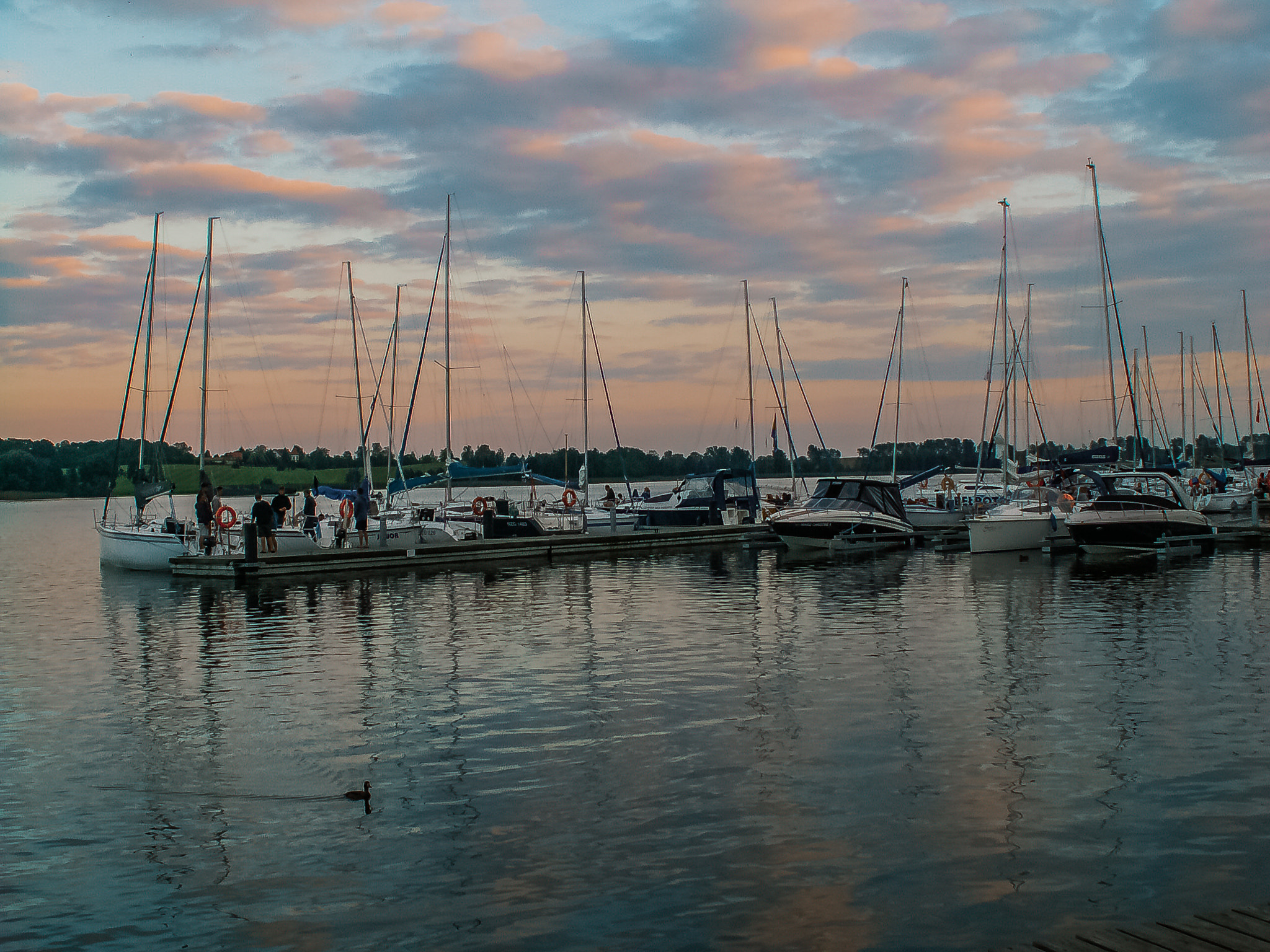 KONICA MINOLTA DiMAGE Z5 sample photo. Mazury photography