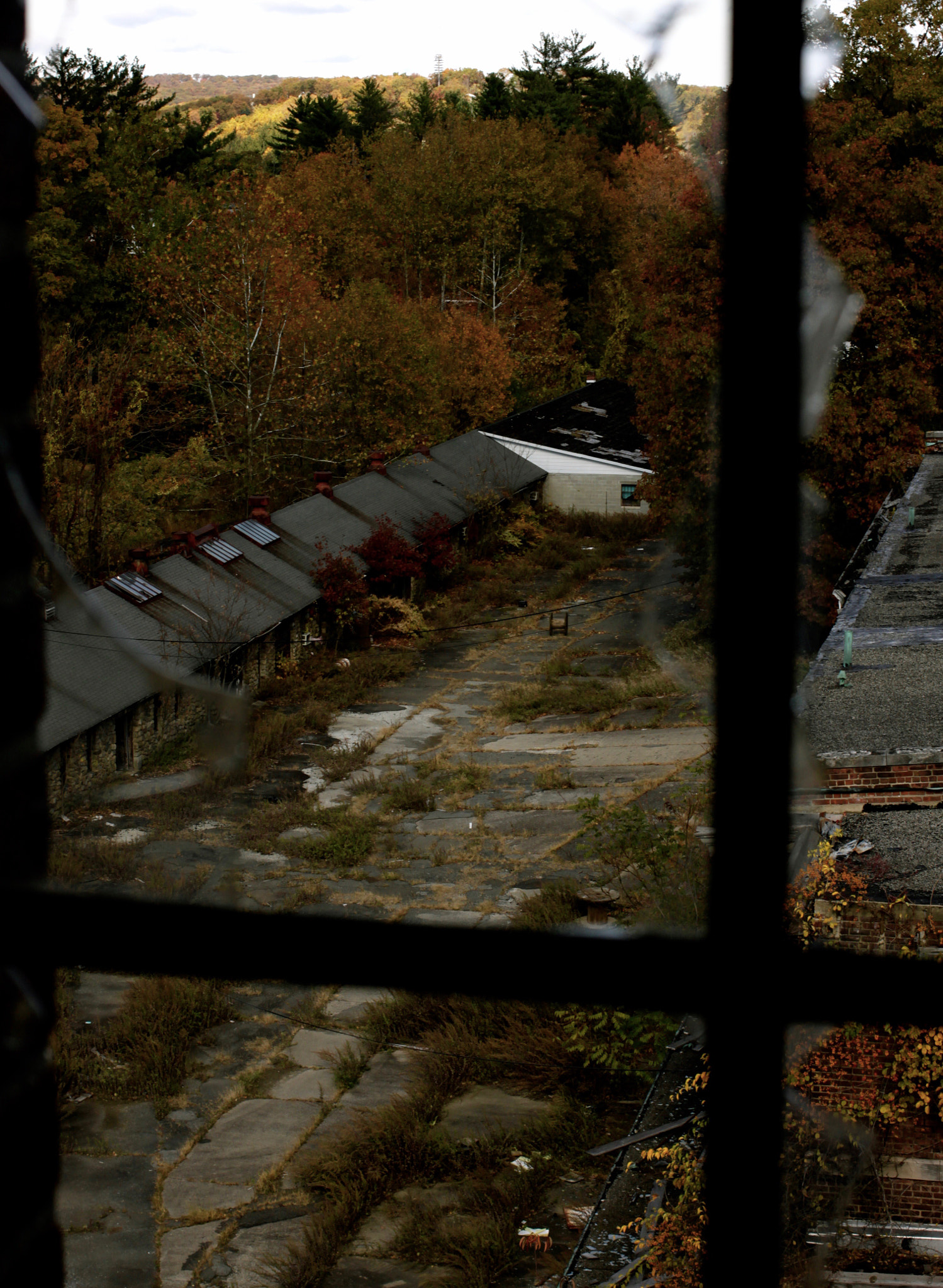 Canon EF 40mm F2.8 STM sample photo. Beyond photography