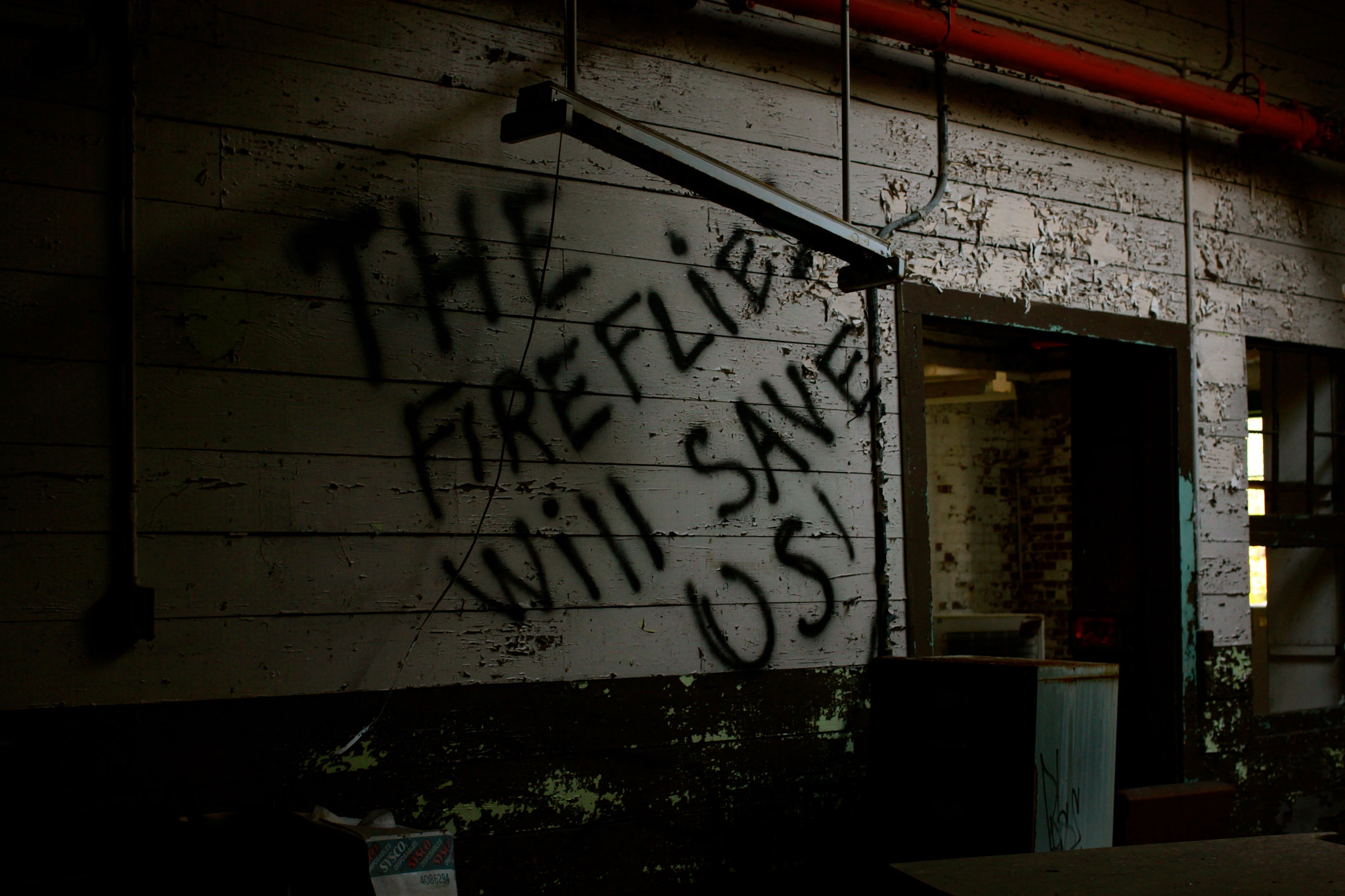 Canon EF 40mm F2.8 STM sample photo. Fireflies photography