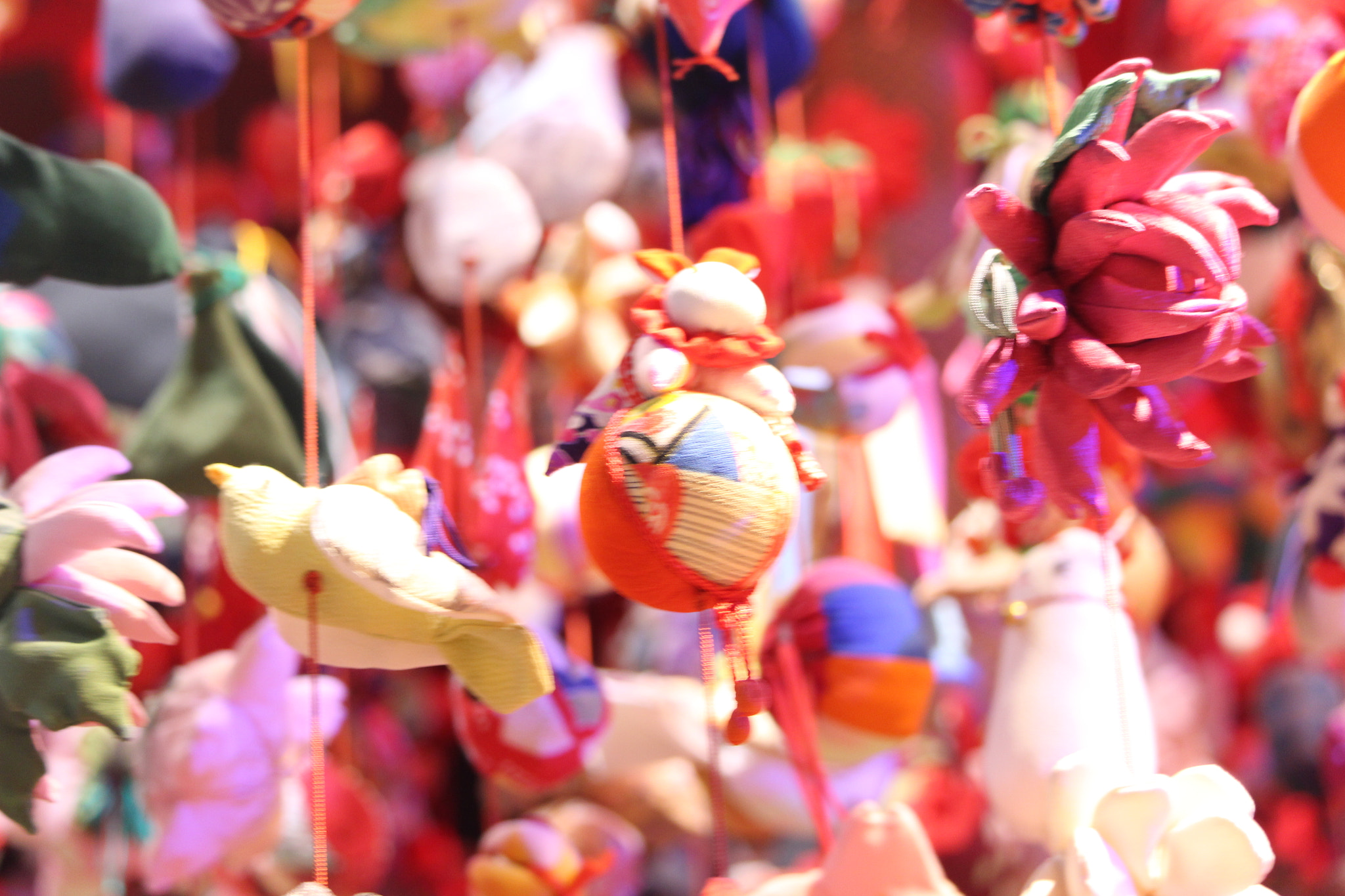 Canon EOS 700D (EOS Rebel T5i / EOS Kiss X7i) sample photo. Dreams hung on a string photography