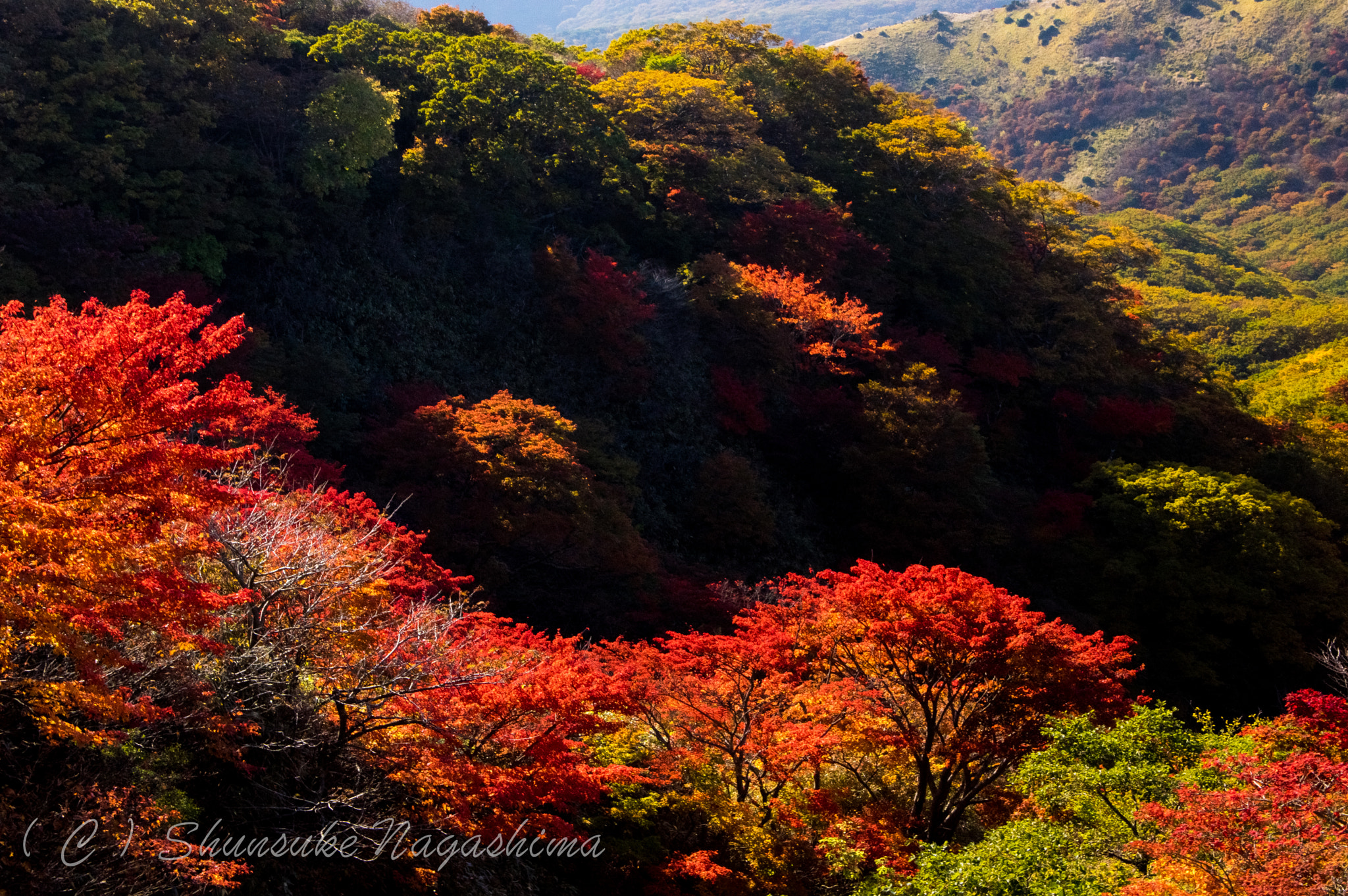 Pentax smc DA 16-45mm F4 ED AL sample photo. Autumn leaves of kuju photography