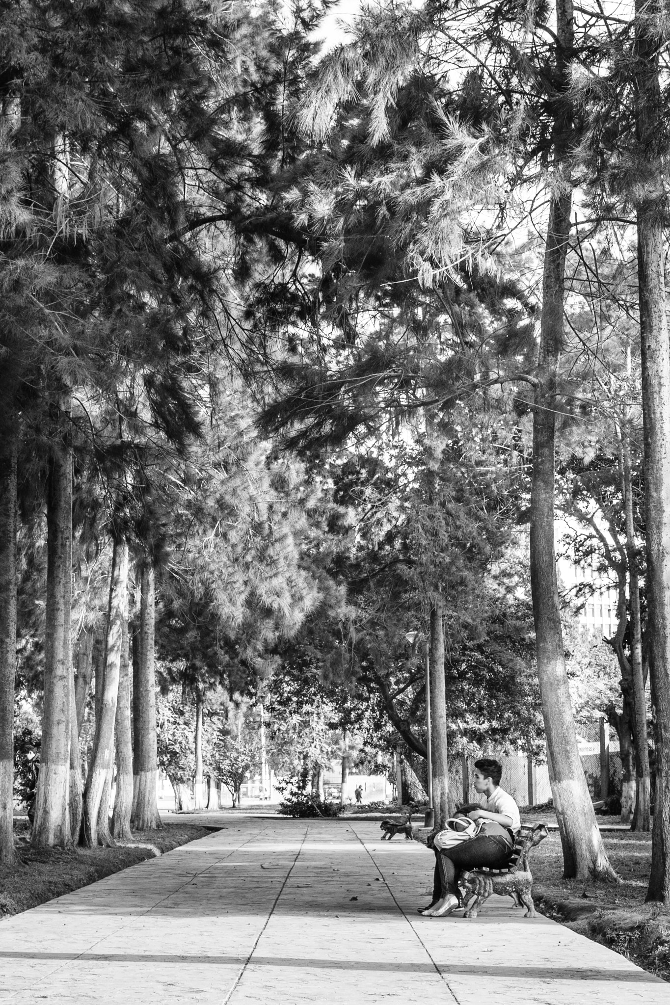 Canon EOS 40D sample photo. Adolescentes photography