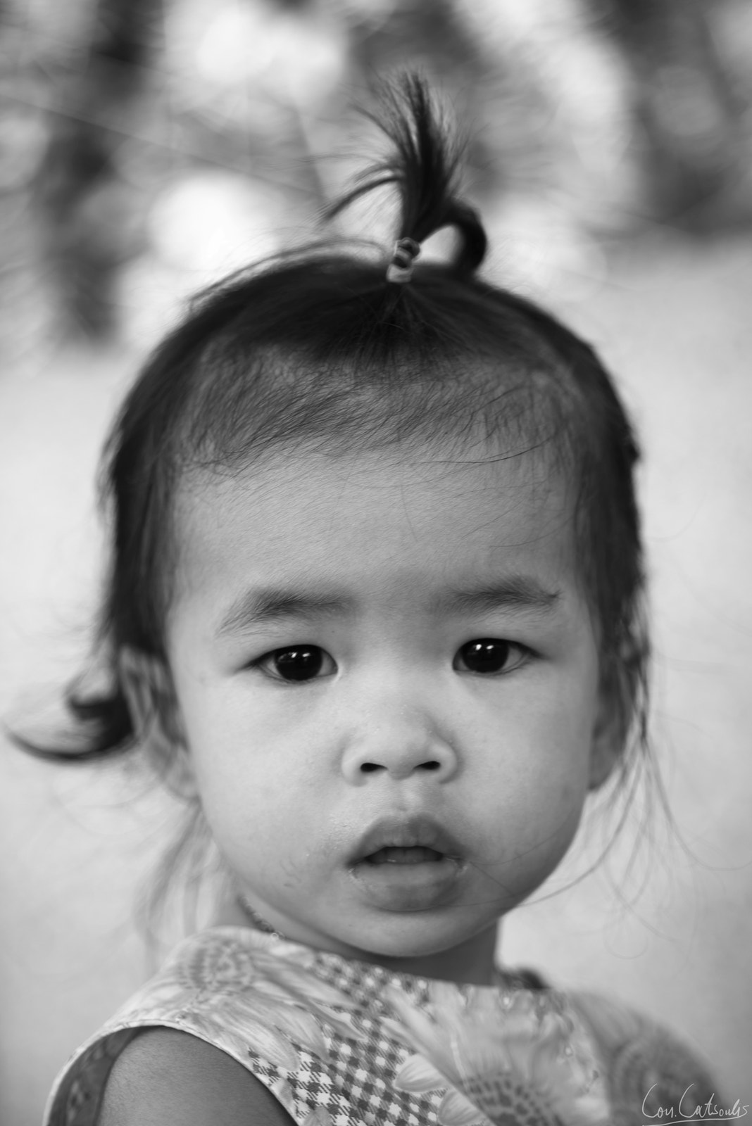Nikon D800 + Nikon AF Micro-Nikkor 60mm F2.8D sample photo