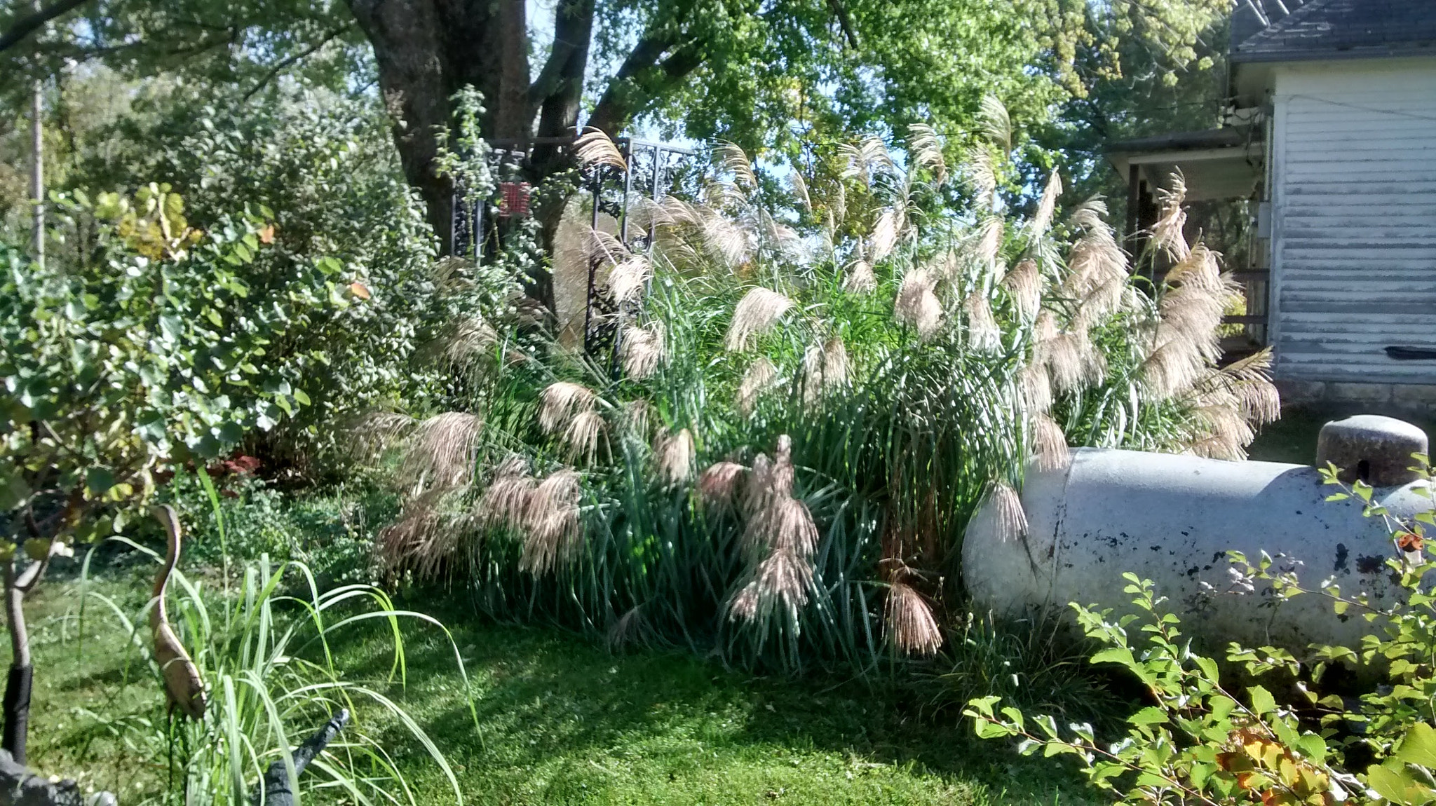 Motorola Moto G with 4G LTE (1st Gen) sample photo