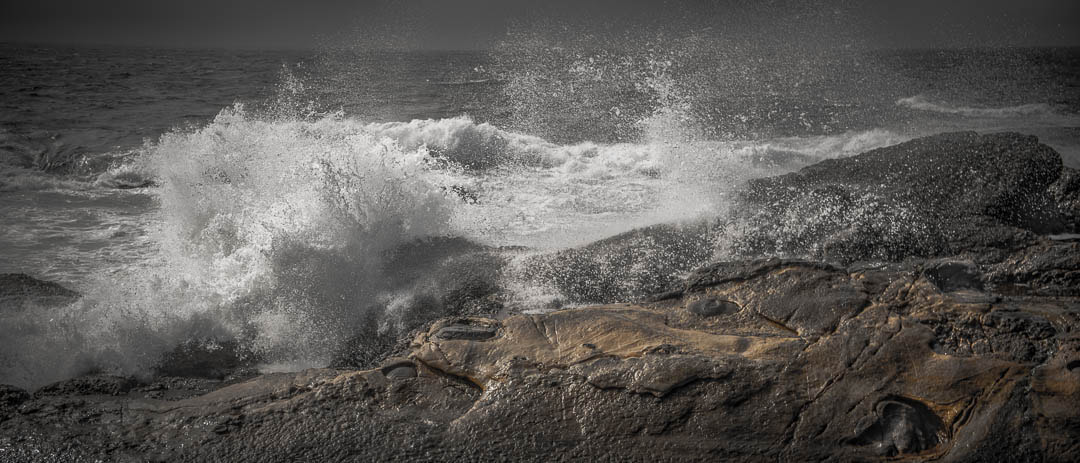 Nikon AF-S Nikkor 24-70mm F2.8E ED VR sample photo. Point lobos ca. photography