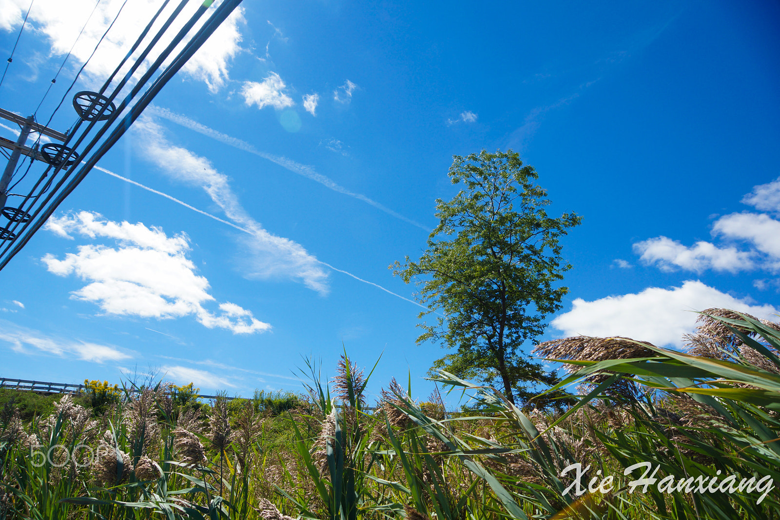 Sony SLT-A65 (SLT-A65V) sample photo. Around ub photography