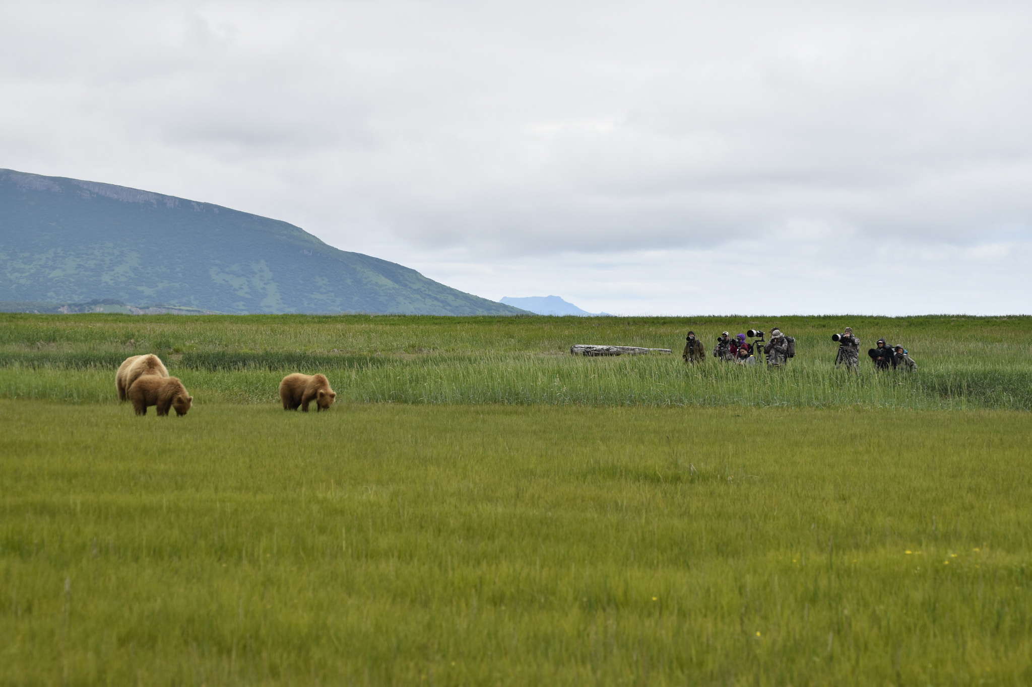 Nikon D5500 + Sigma 50-500mm F4.5-6.3 DG OS HSM sample photo. Photographers in the field, alaska photography