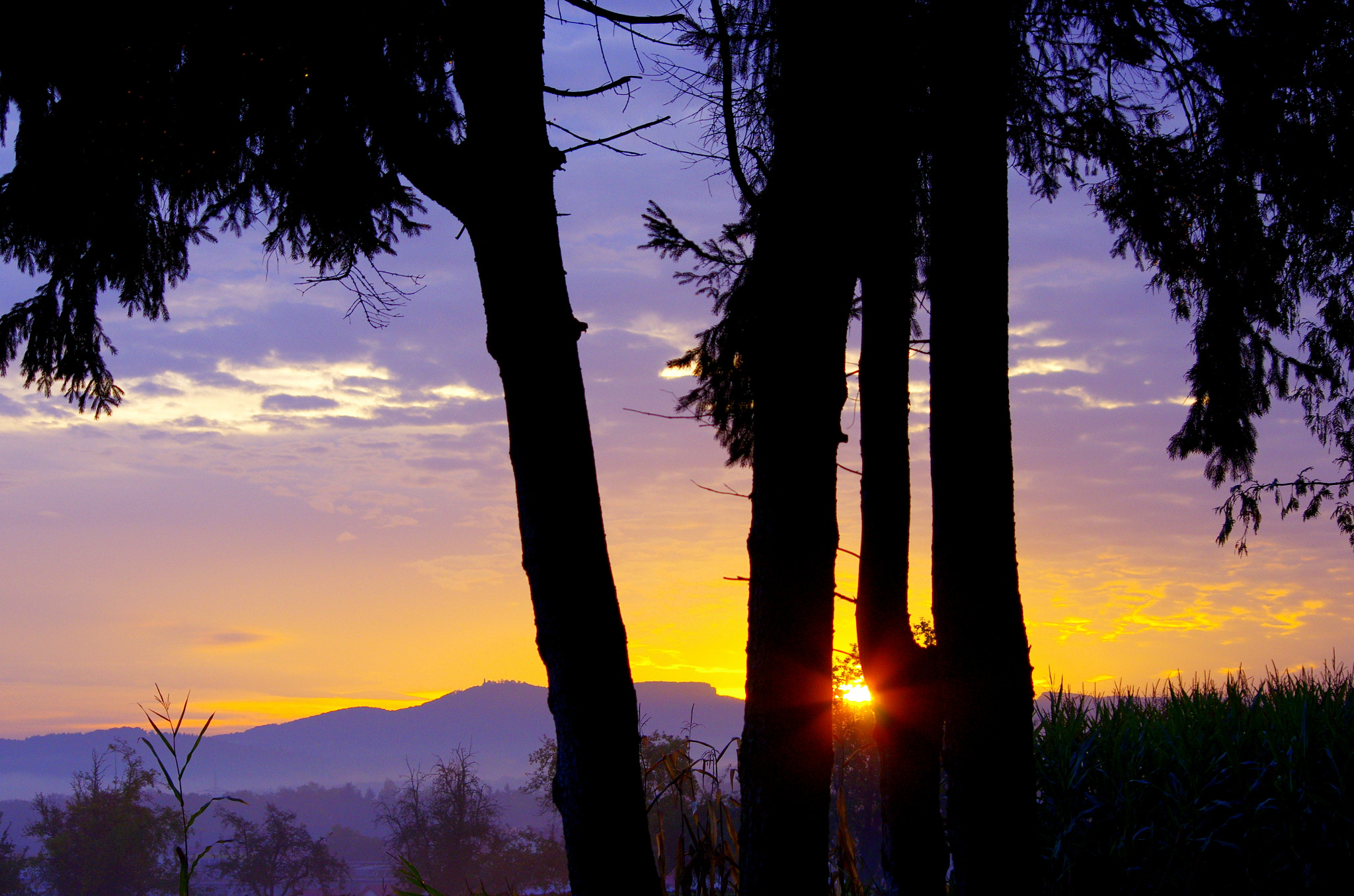 HD Pentax DA 55-300mm F4.0-5.8 ED WR sample photo. Morning awakening photography