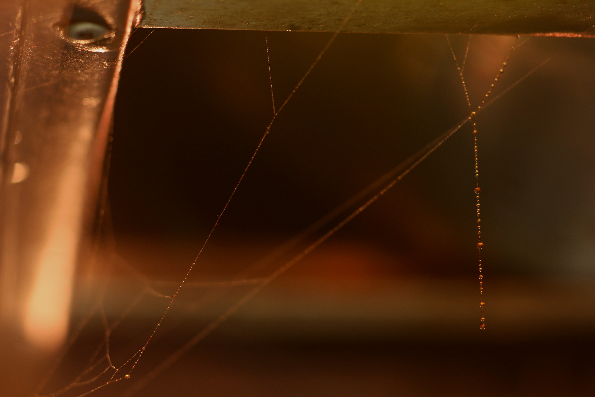 Canon EF 100mm F2.8 Macro USM sample photo. Pearl necklace photography