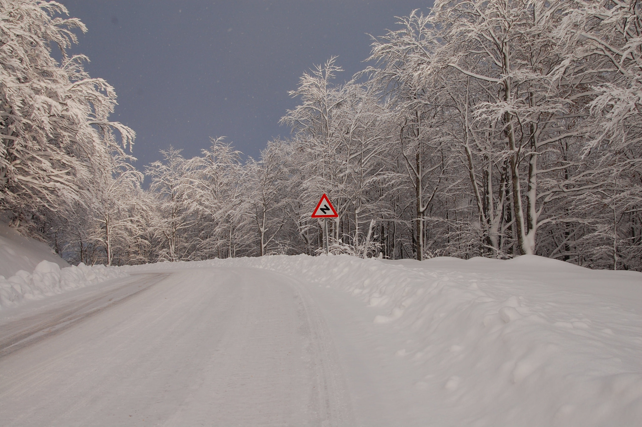 Nikon D40 sample photo. Snow photography
